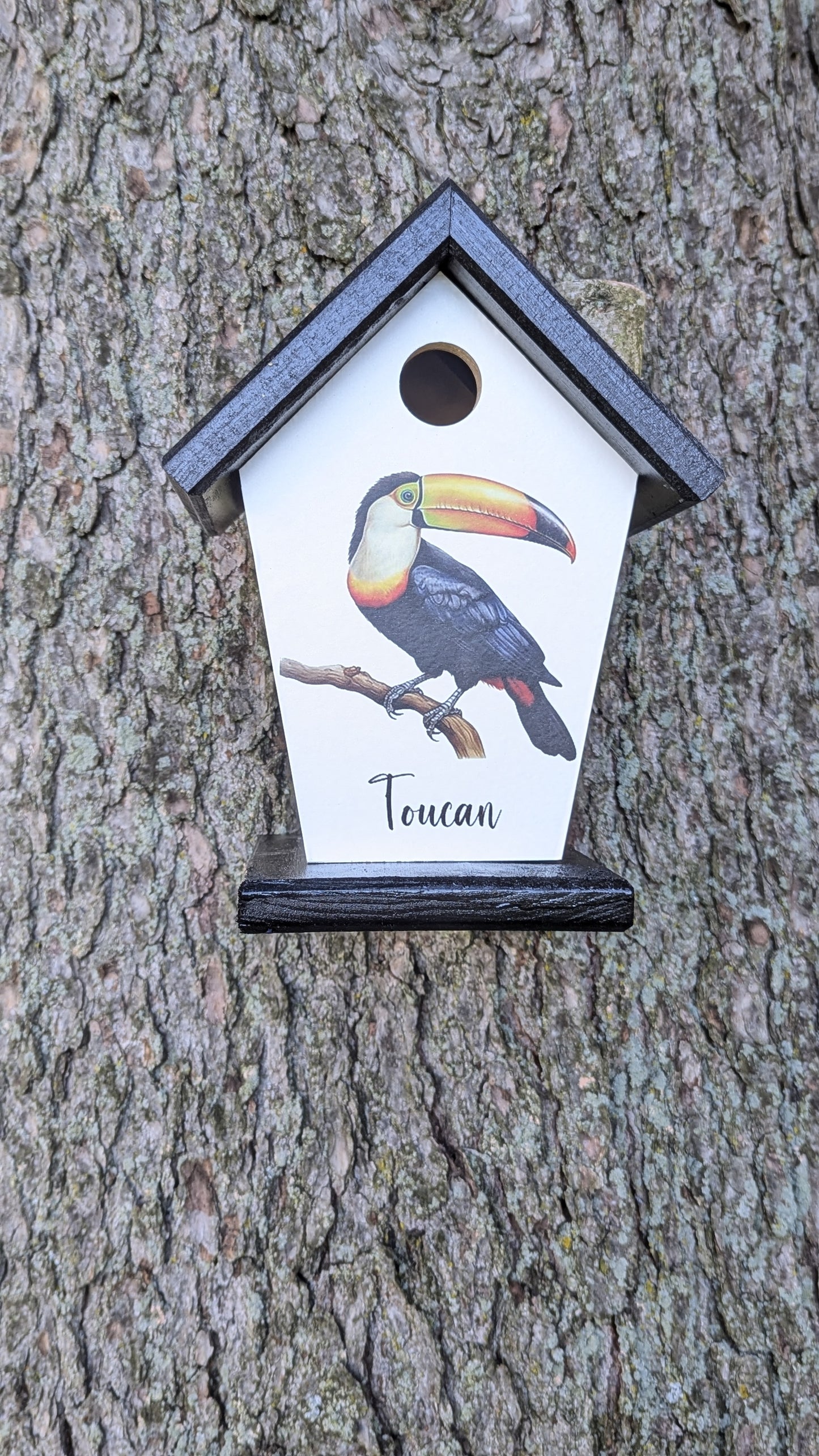 Toucan Birdhouse