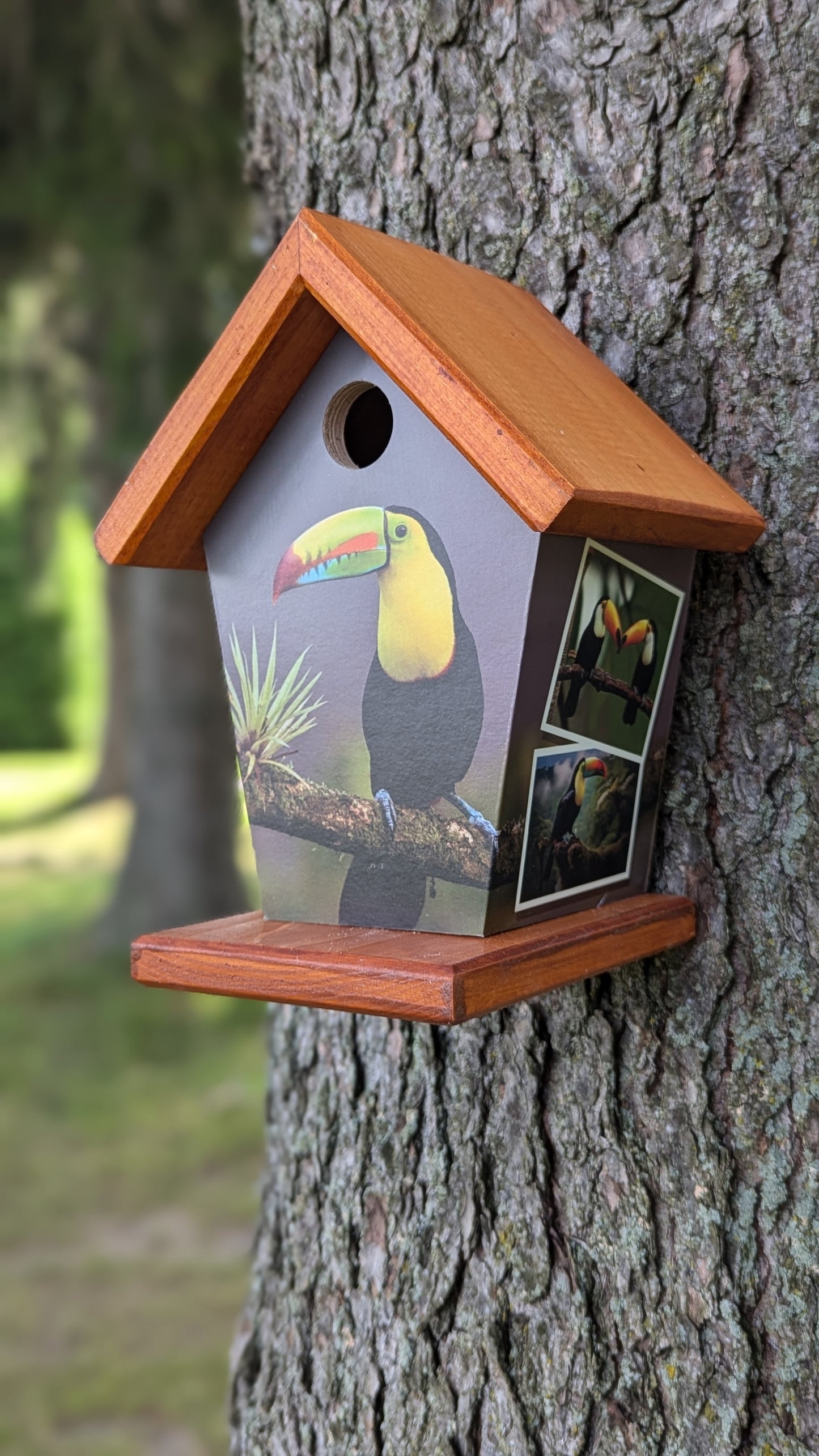 Toucan Birdhouse