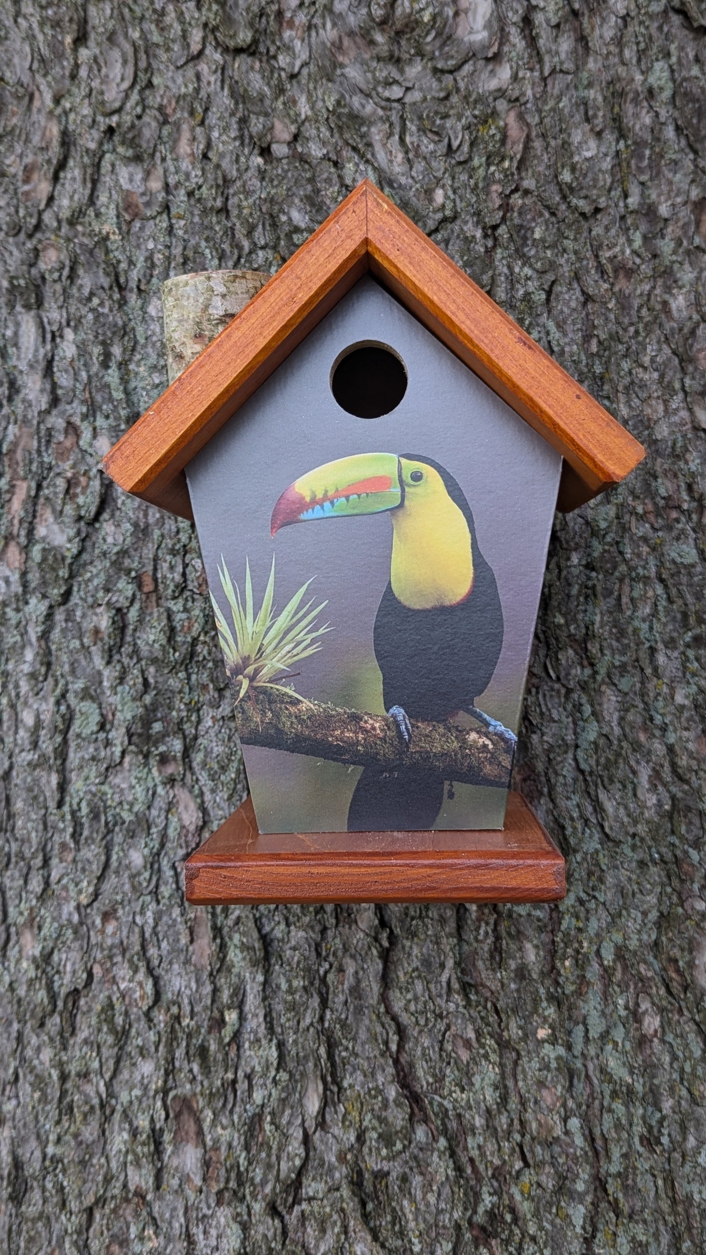 Toucan Birdhouse