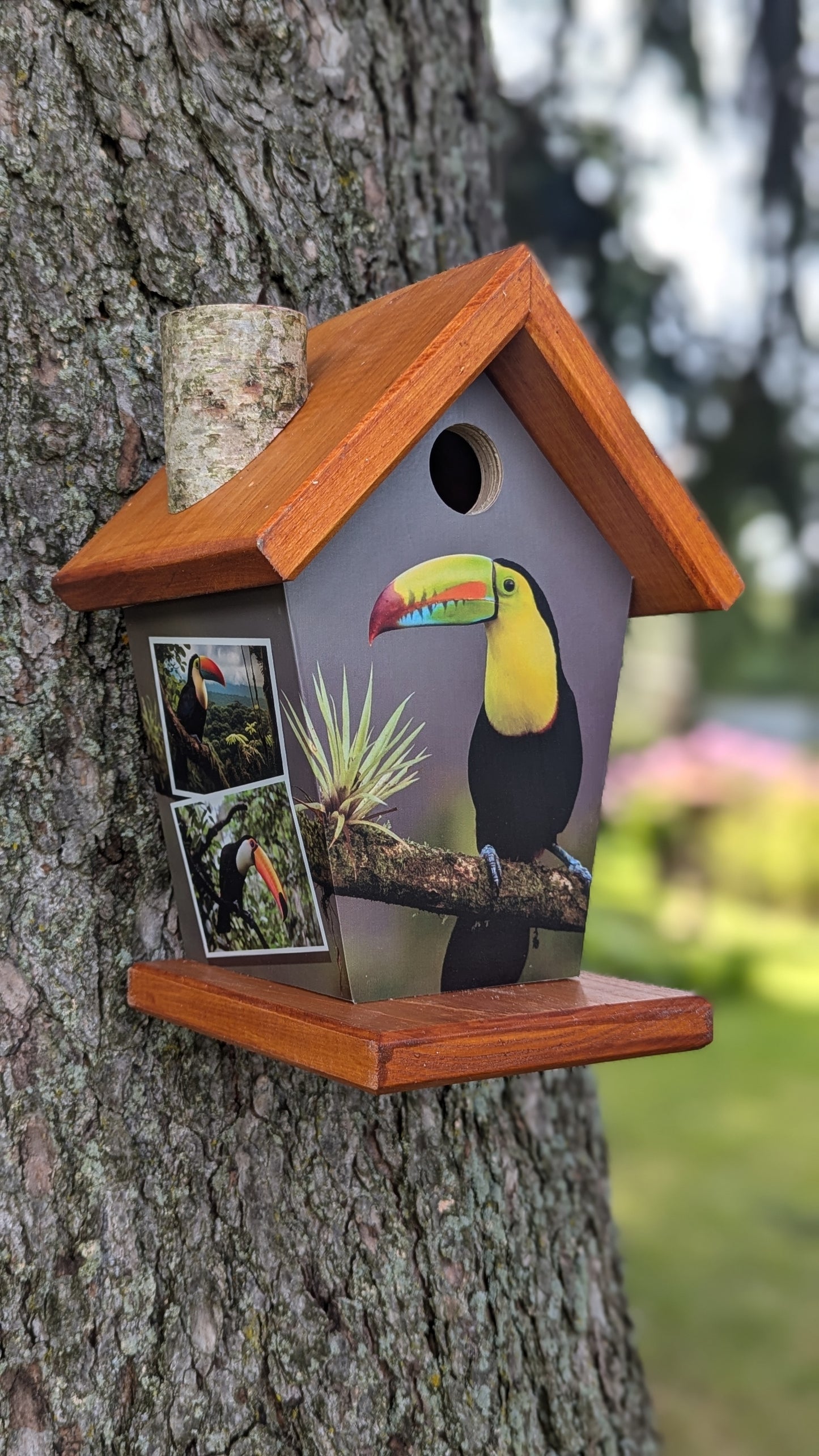 Toucan Birdhouse