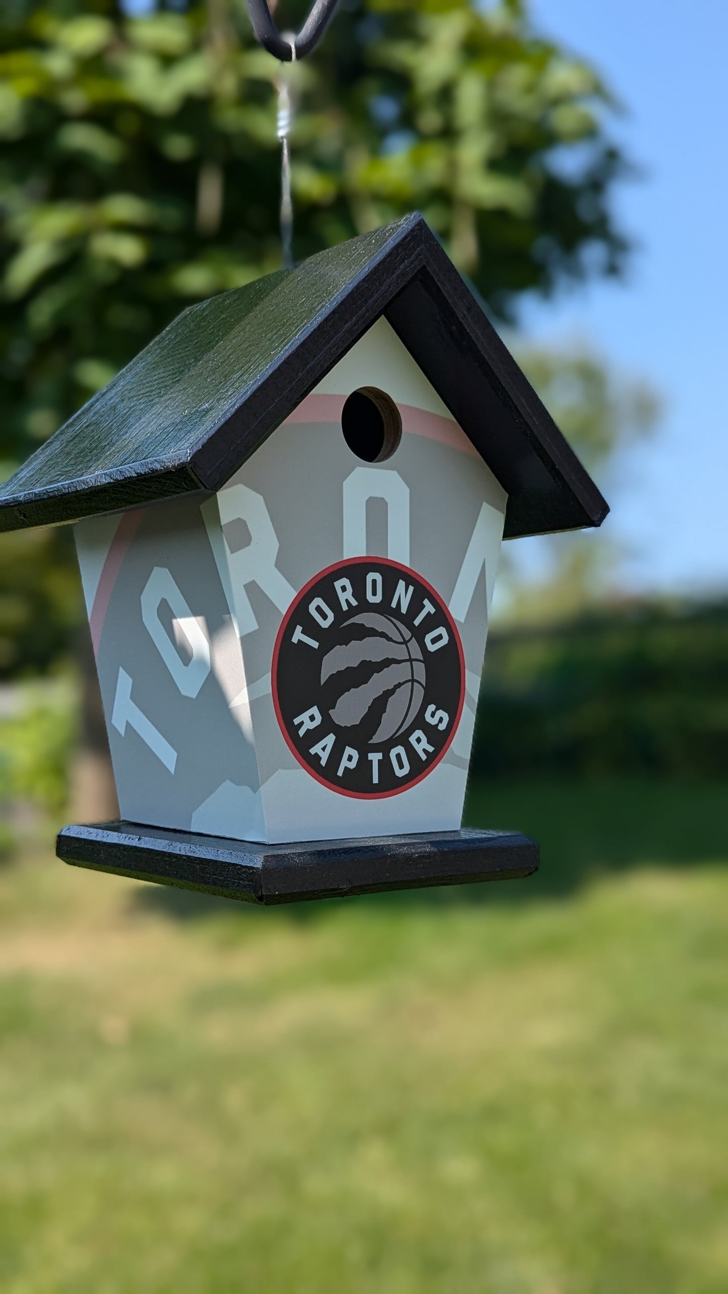 Toronto Raptors four-sided Birdhouse