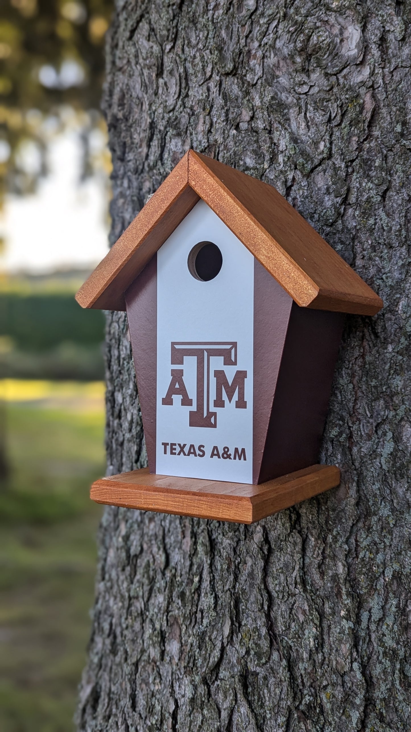 Texas ATM University Birdhouse