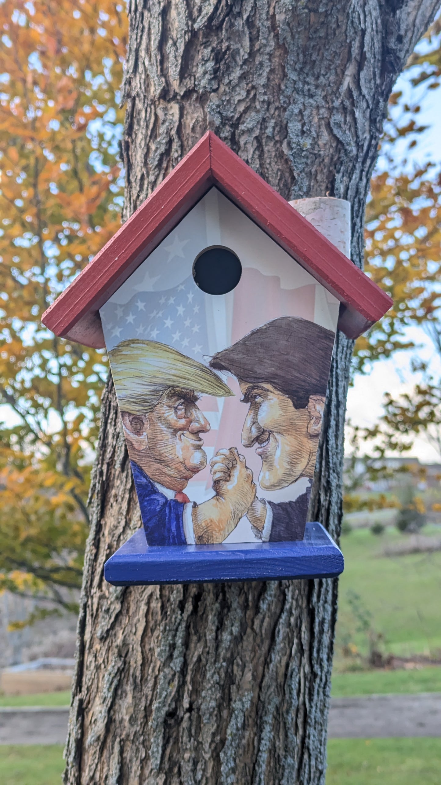 Trump V Trudeau Birdhouse