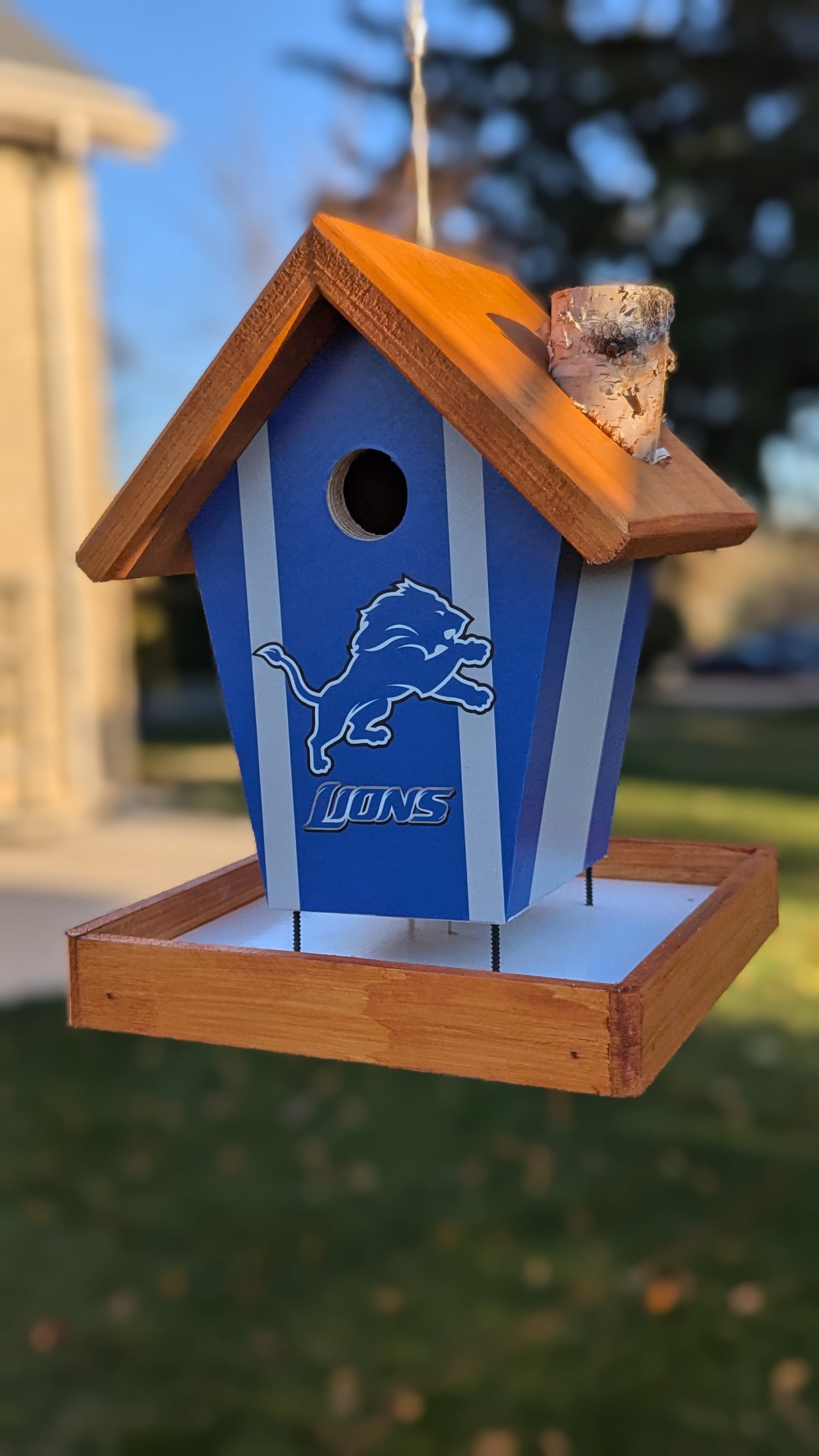 Detroit Lions Bird Feeder Sports