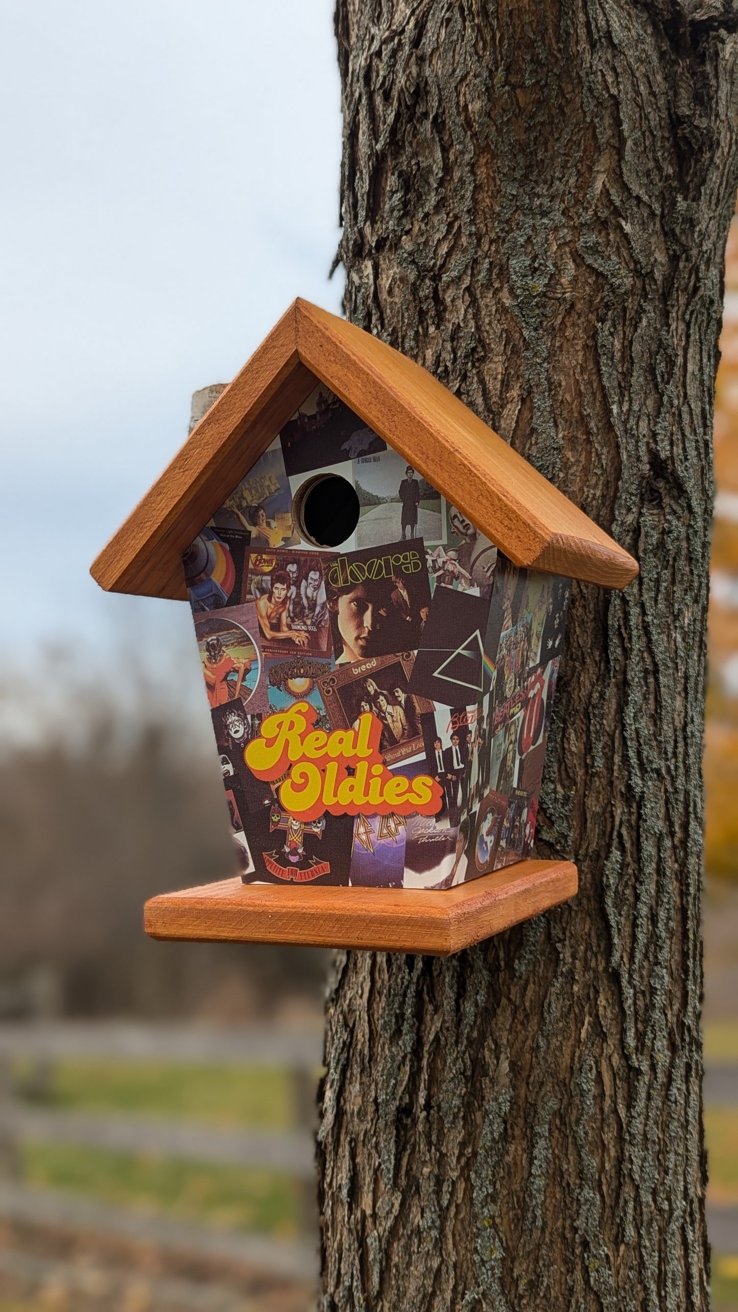 Real Oldies Birdhouse