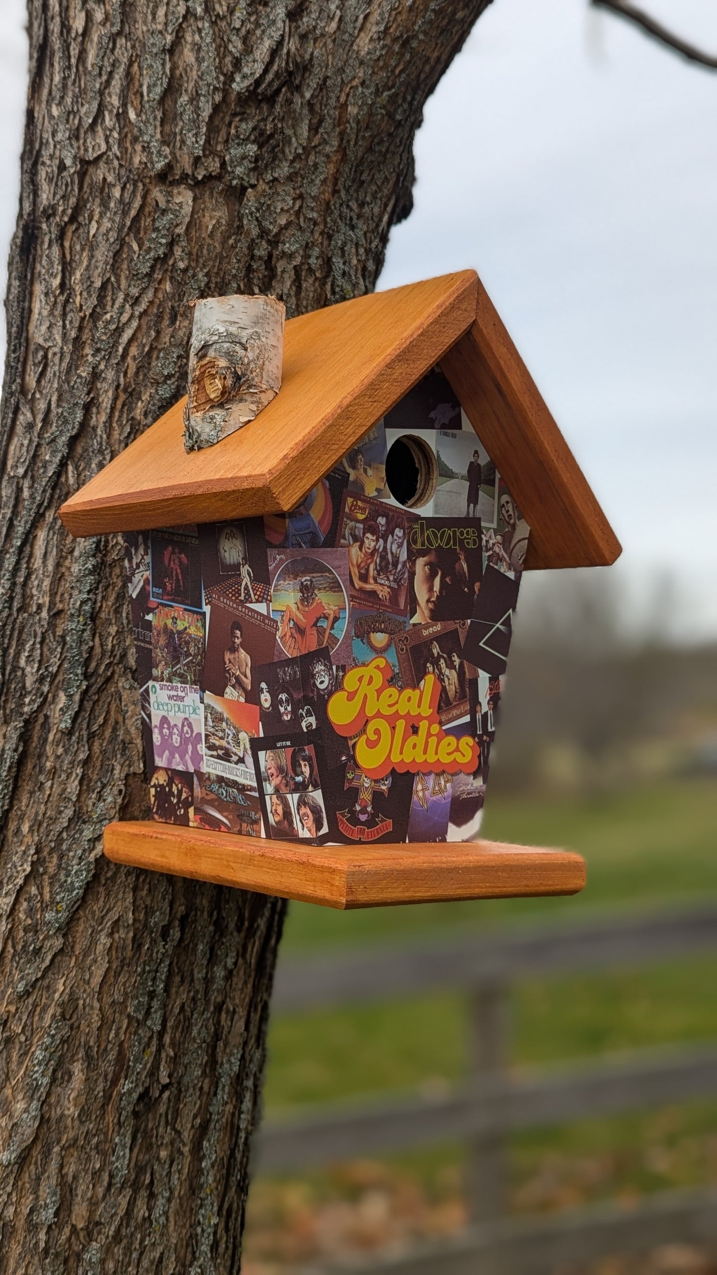 Real Oldies Birdhouse