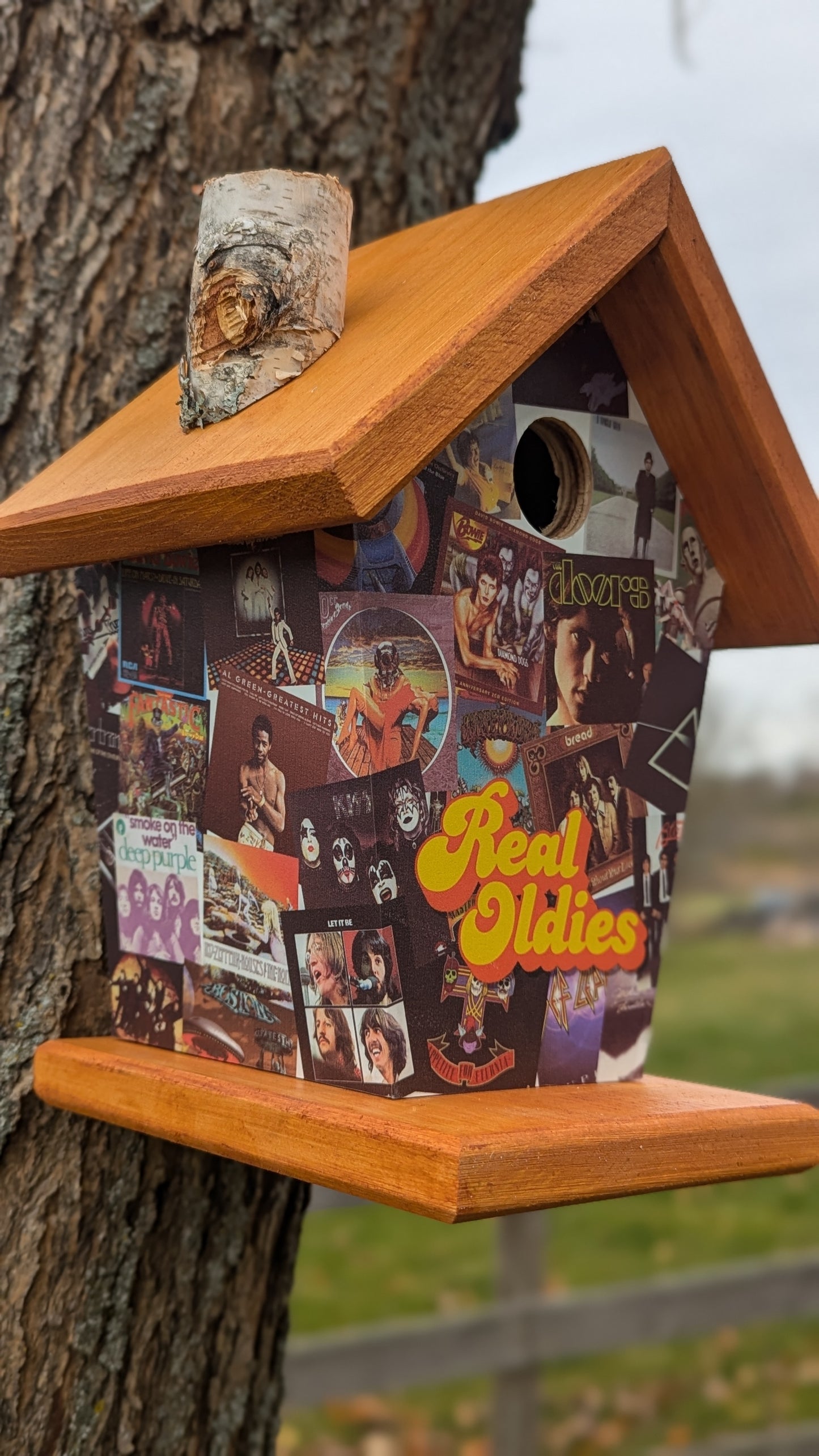 Real Oldies Birdhouse