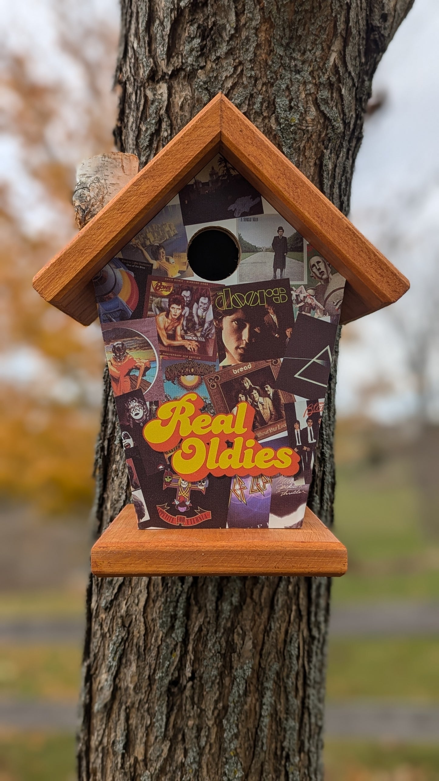 Real Oldies Birdhouse