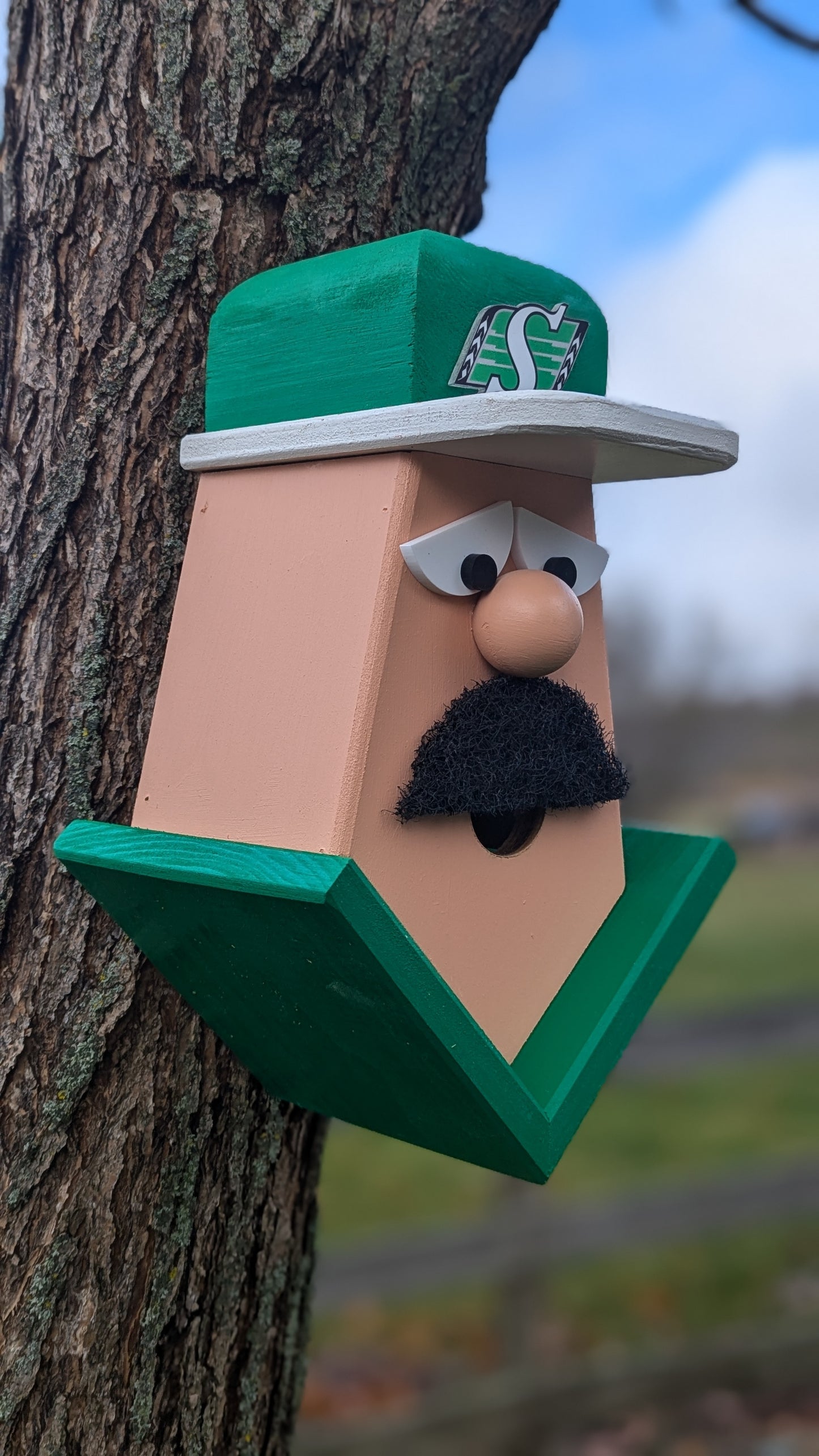 Saskatchewan Roughriders fan