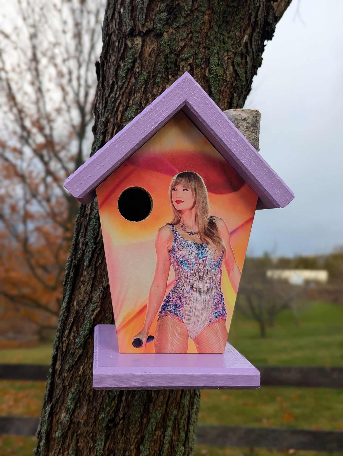 Taylor Swift Birdhouse