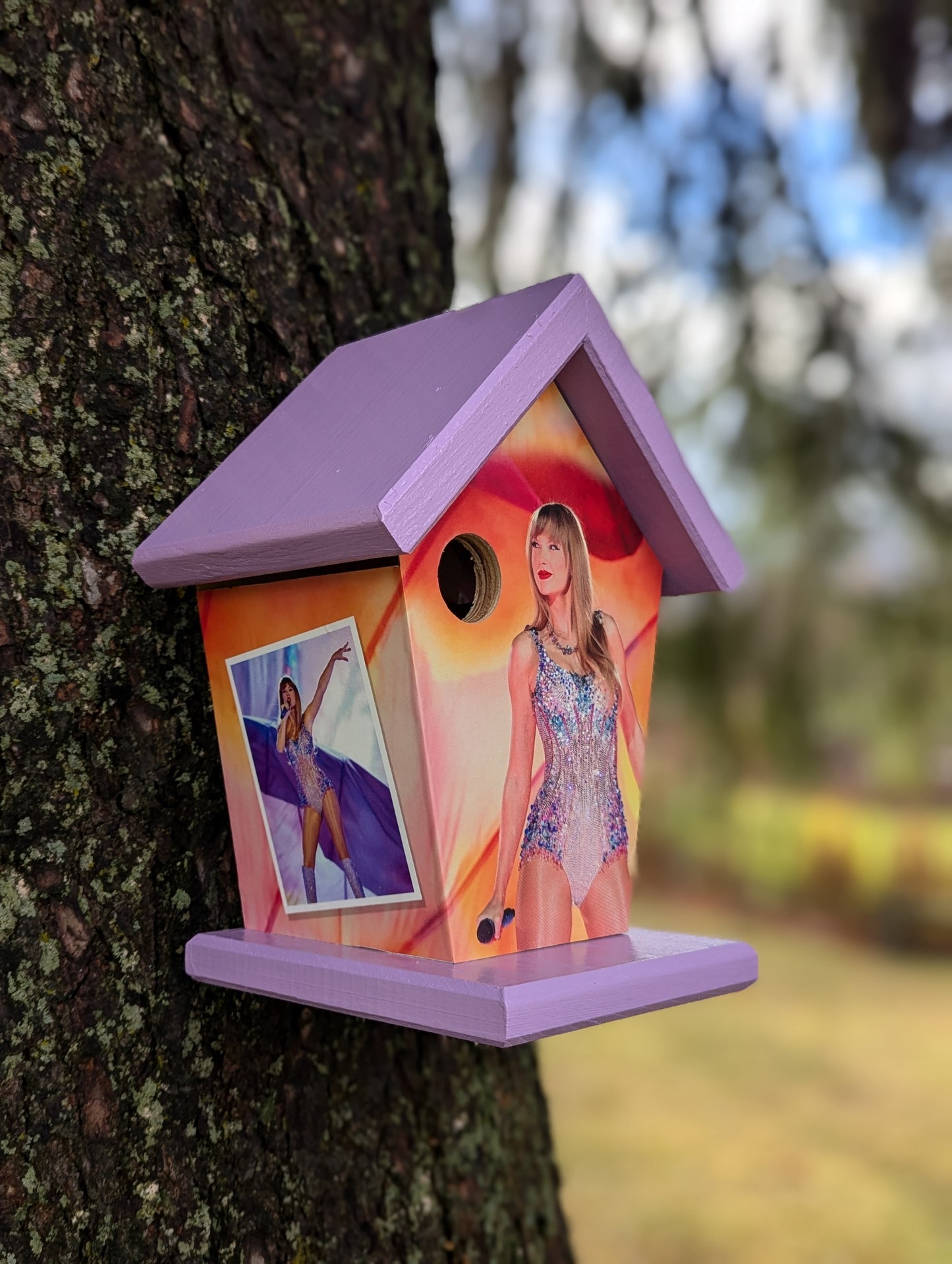 Taylor Swift Birdhouse