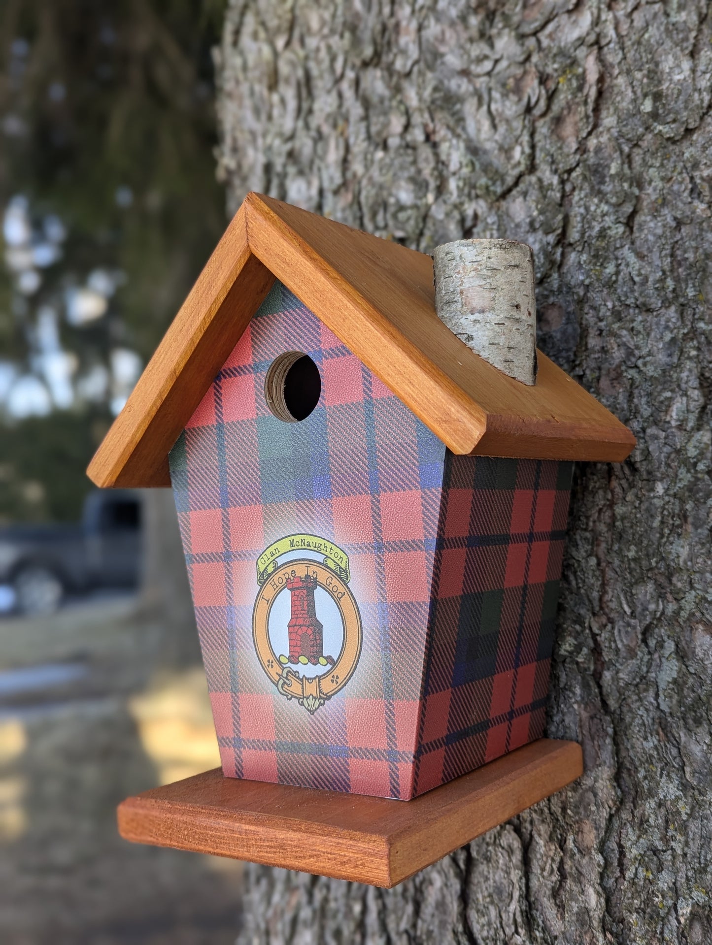 McNaughton, Tartan & Crest