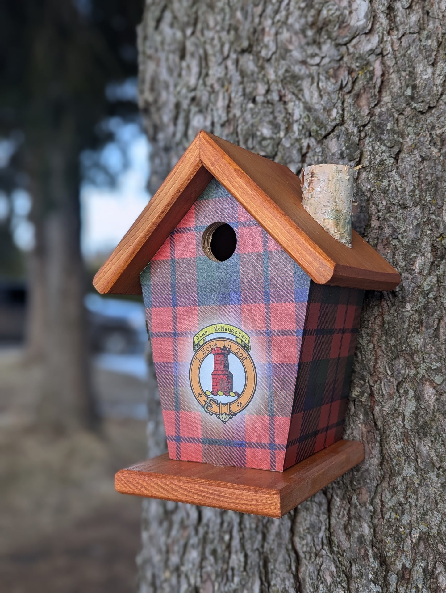 McNaughtan Tartan & Crest