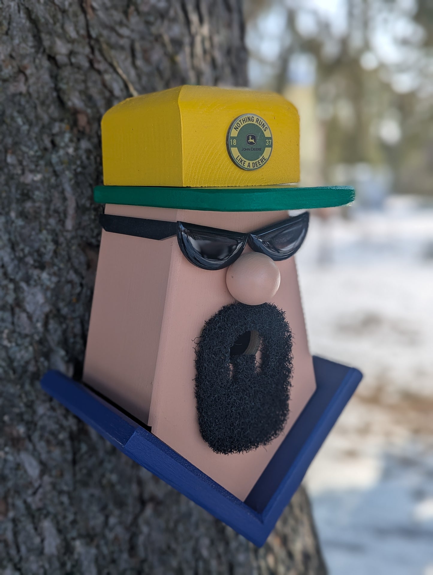 Guy with goatee and sun glasses Birdhouse