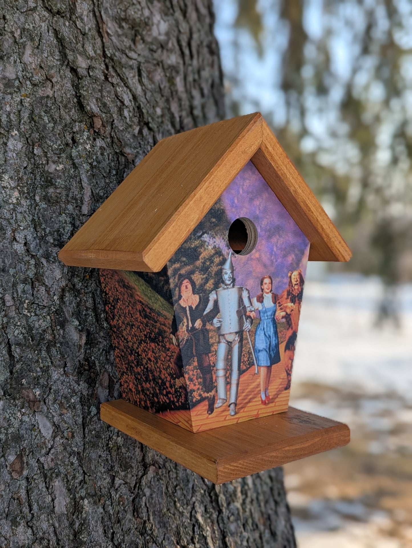 Wizard of Oz Birdhouse