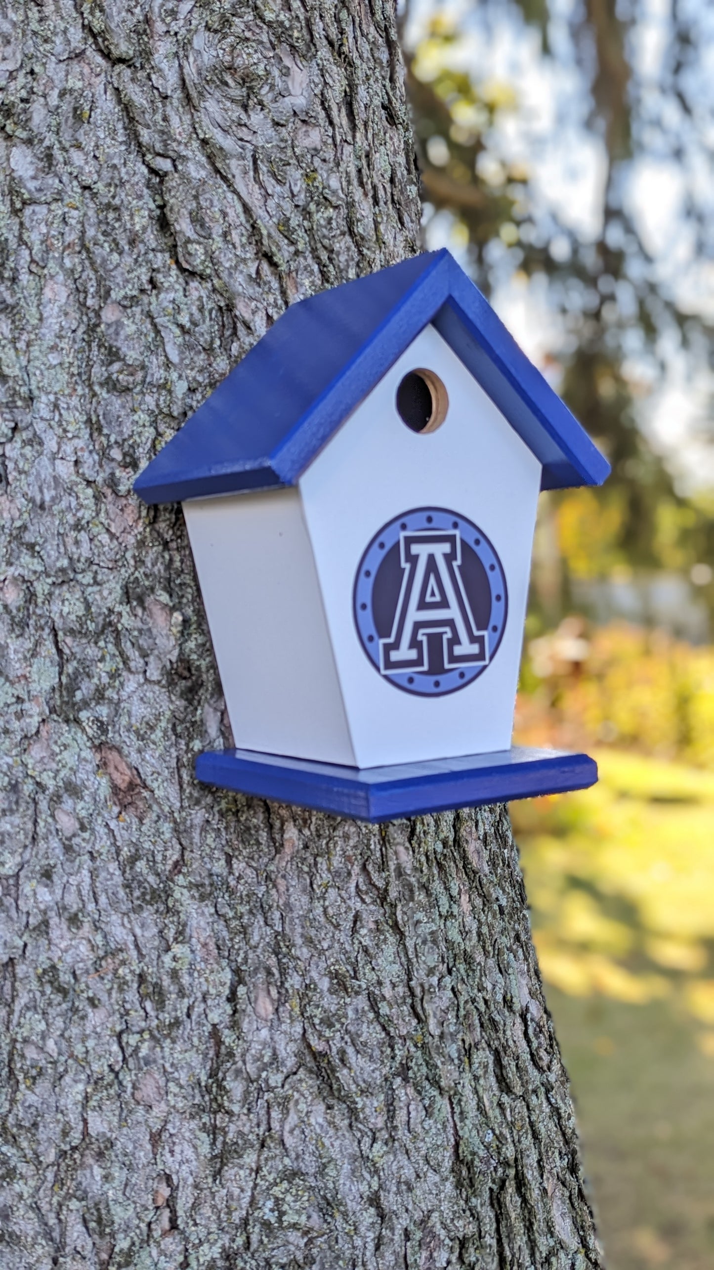 Toronto Argonauts Birdhouse