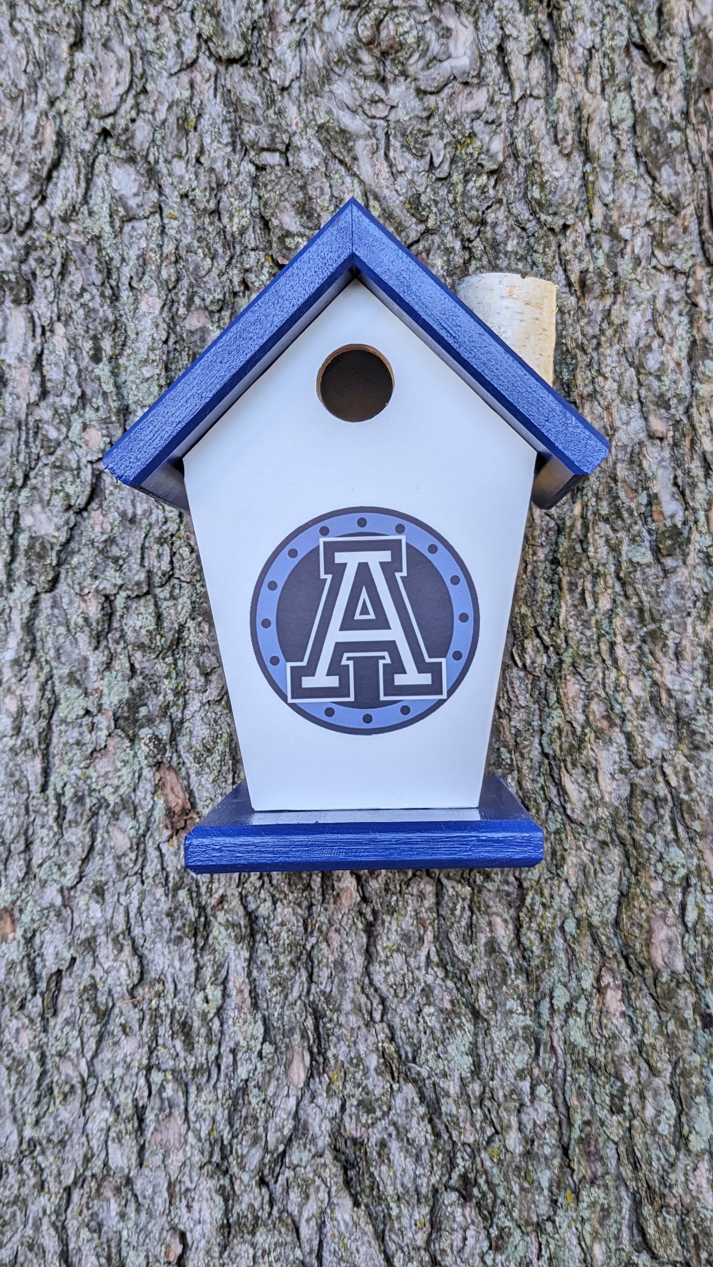 Toronto Argonauts Birdhouse