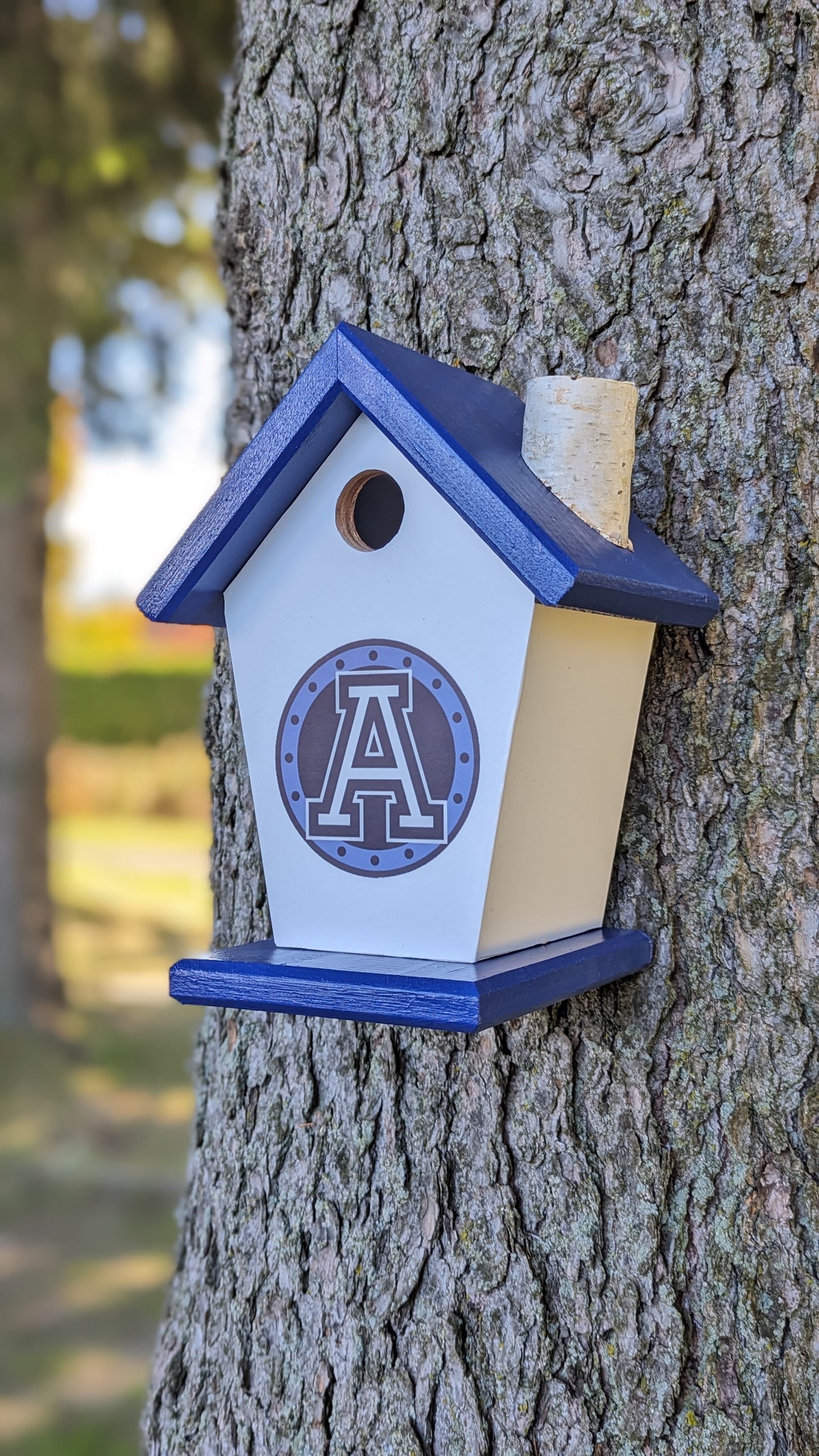 Toronto Argonauts Birdhouse