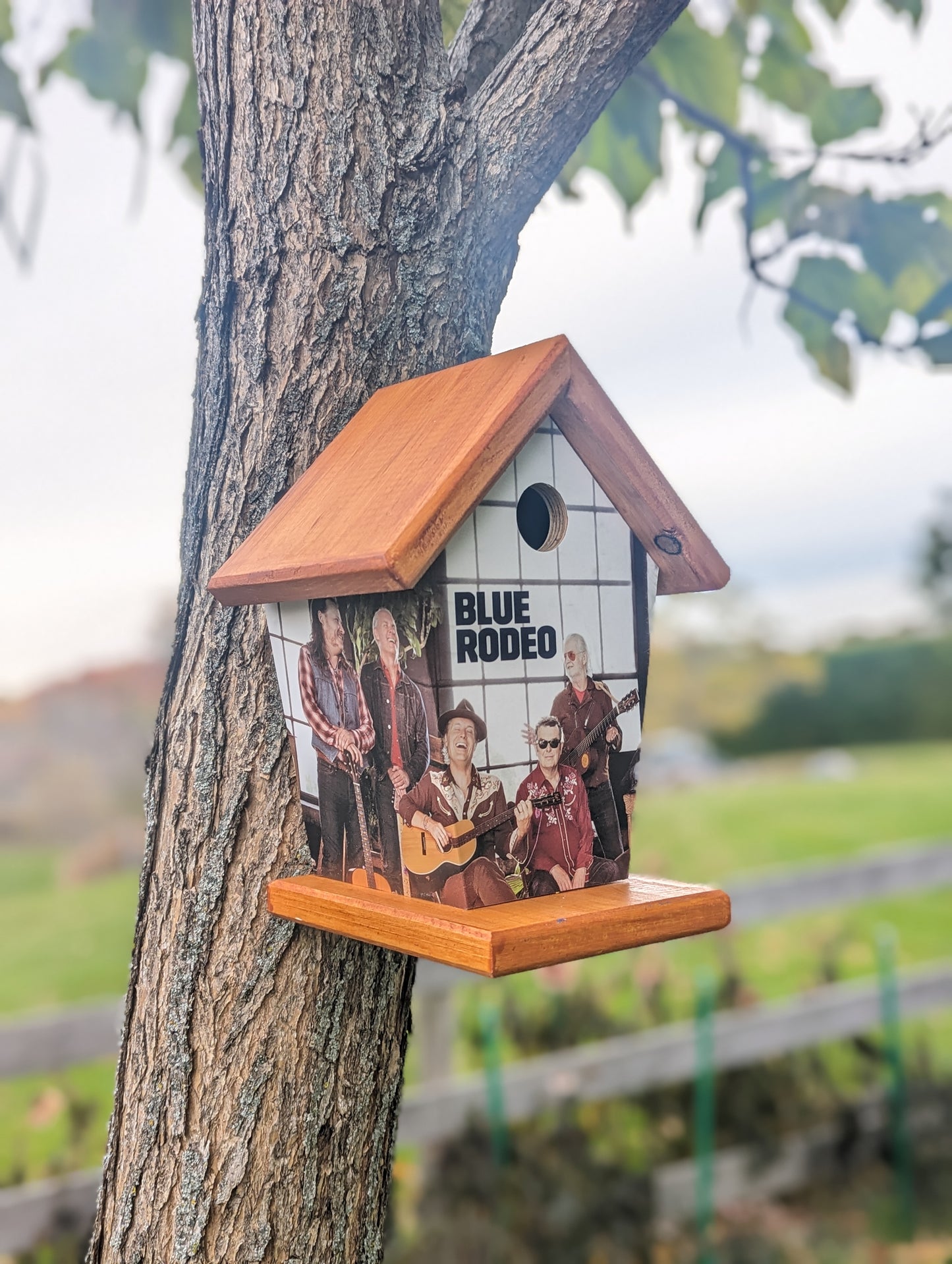 Blue Rodeo Birdhouse Music