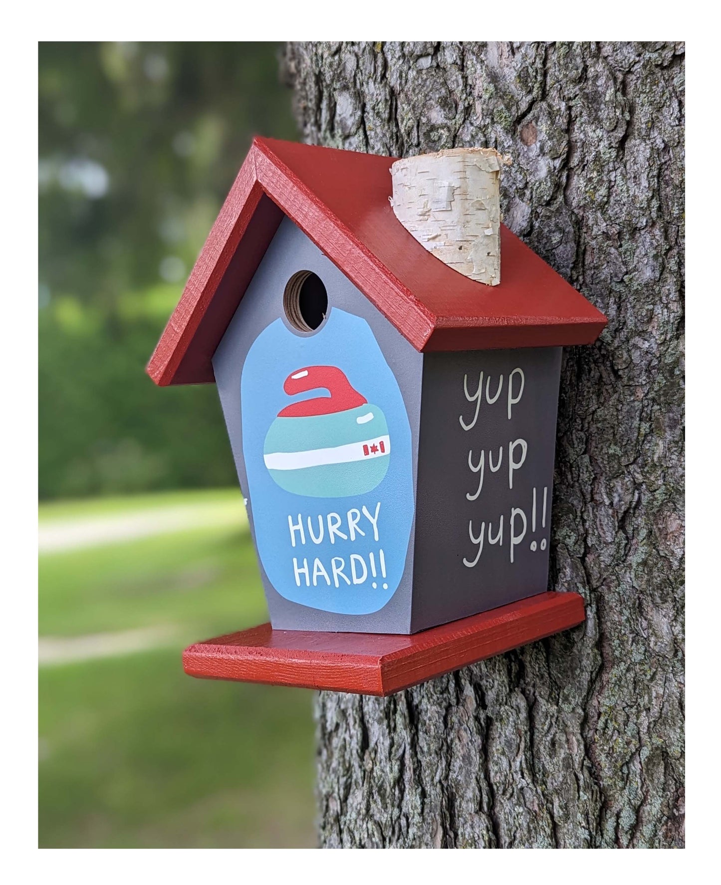 Hurry Hard Curling Birdhouse