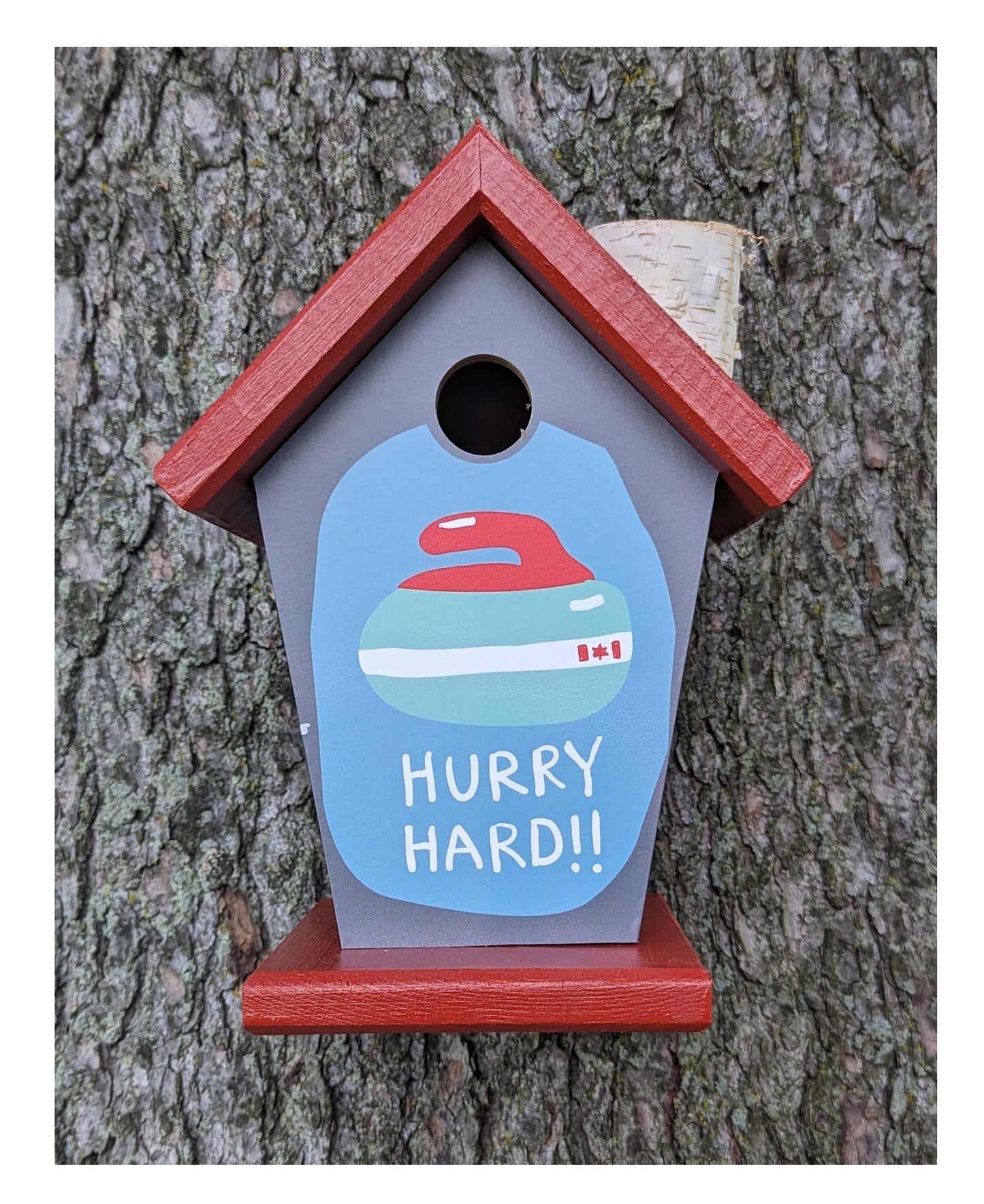 Hurry Hard Curling Birdhouse