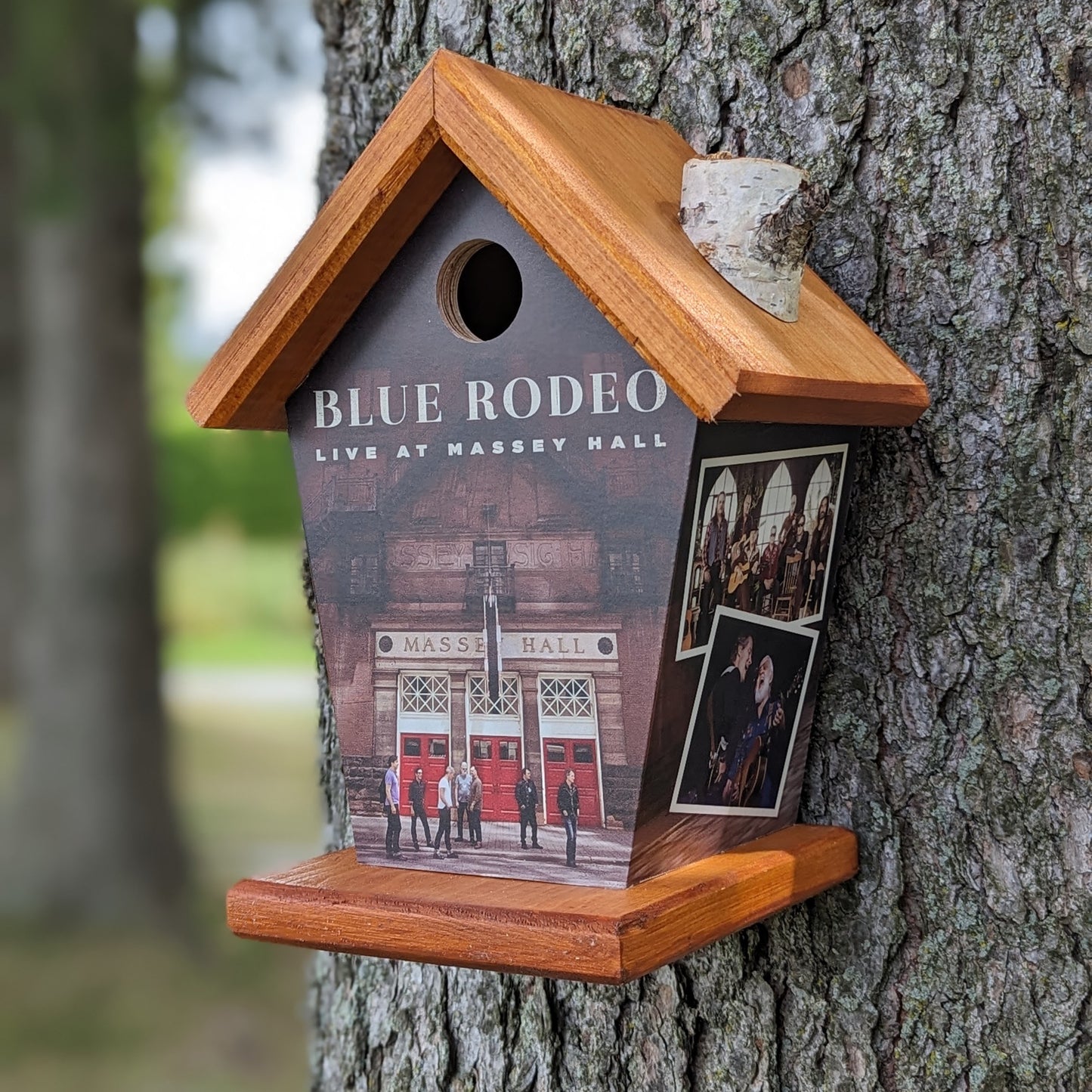 Blue Rodeo Massey Hall Birdhouse Music