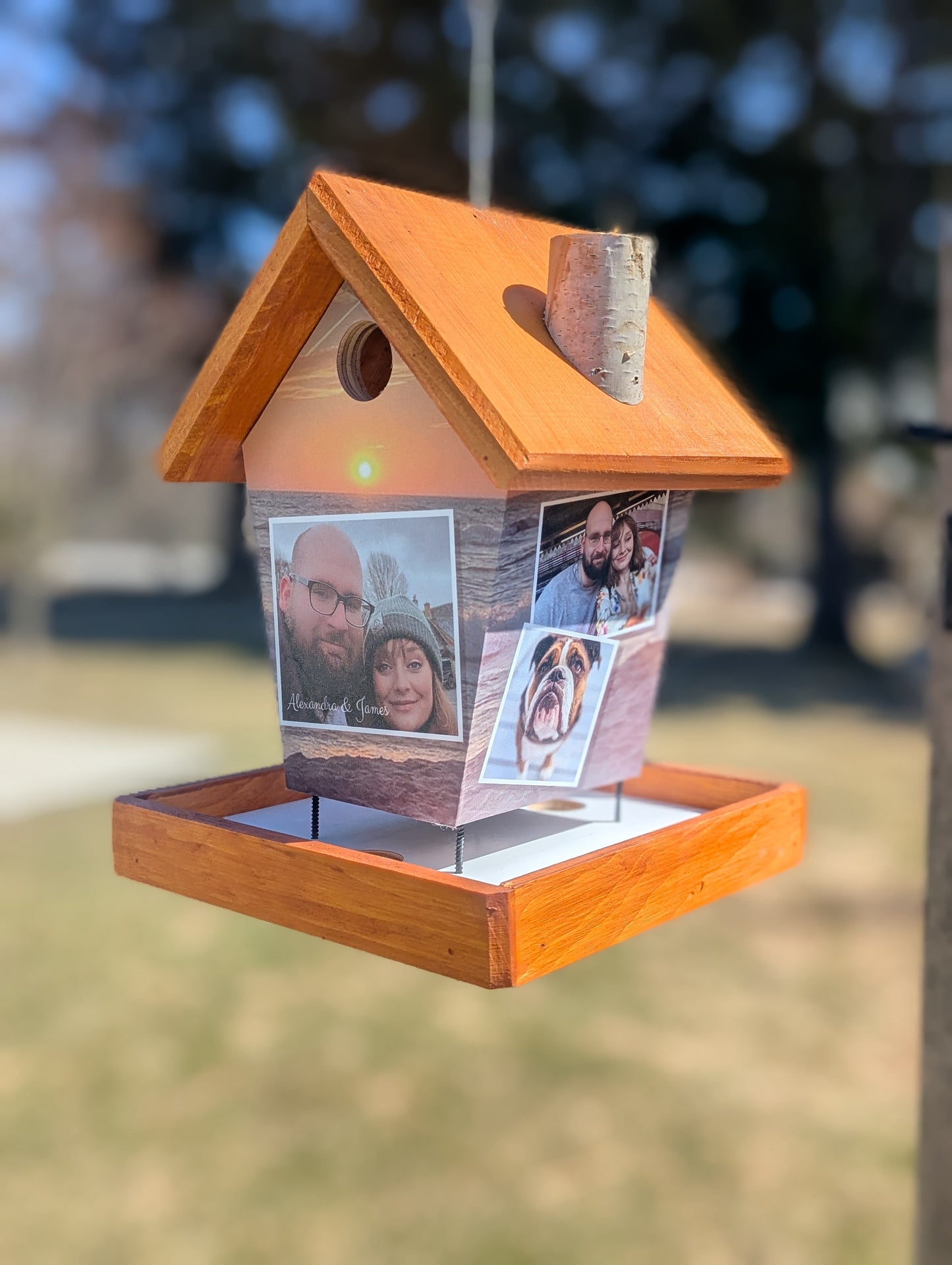 Your Personalized Bird Feeder