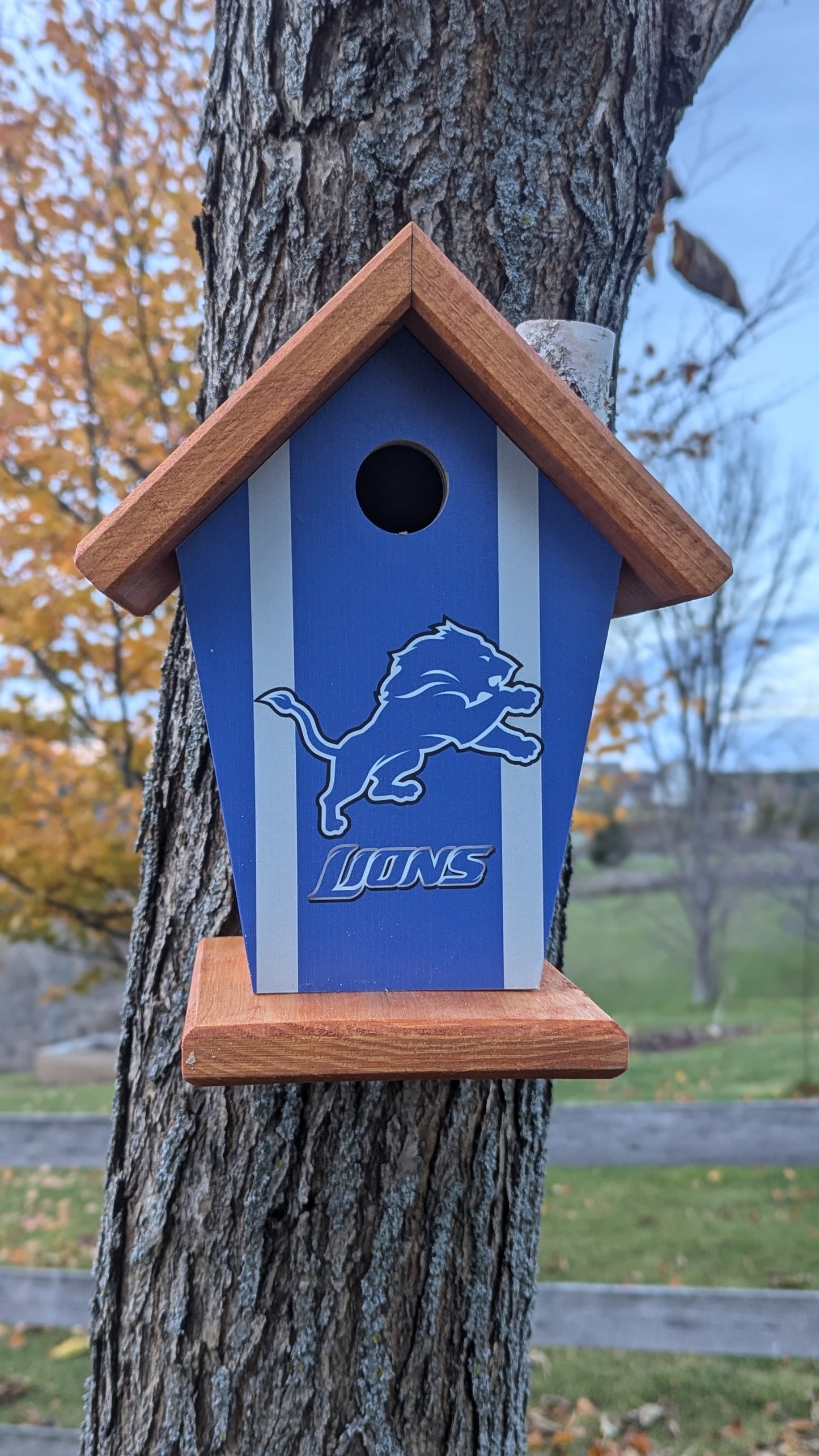 Detroit Lions Bird Feeder Sports