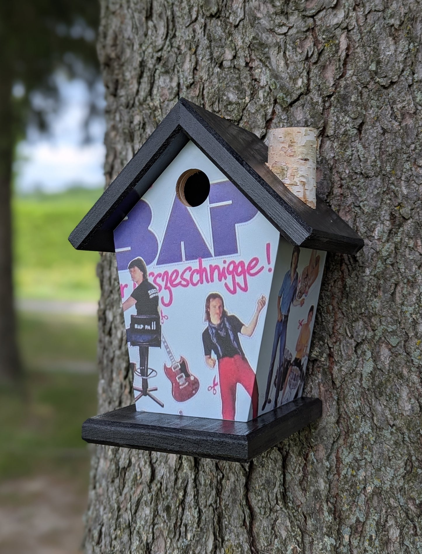 Custom Birdhouse
