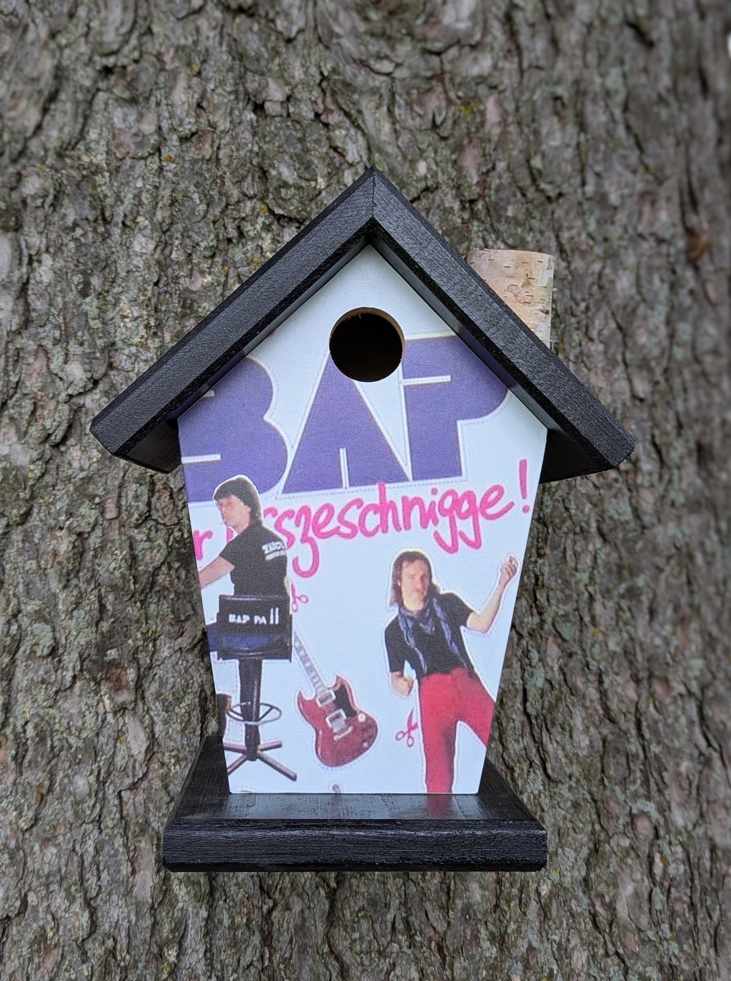 Custom Birdhouse