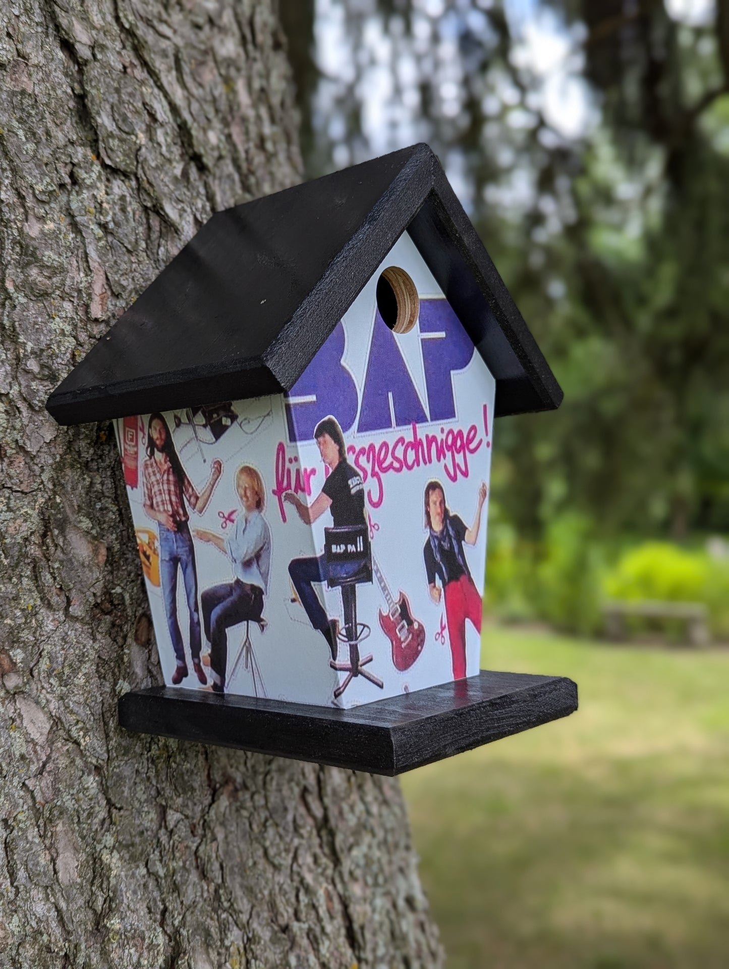 Custom Birdhouse