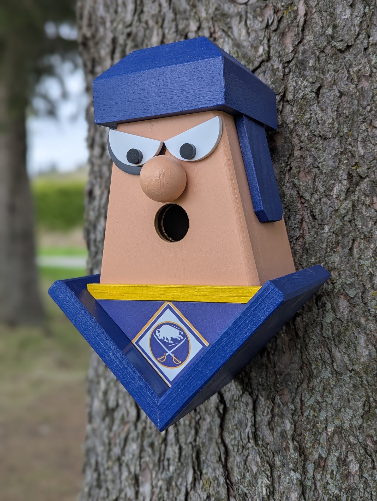 Buffalo Sabers Birdhouse