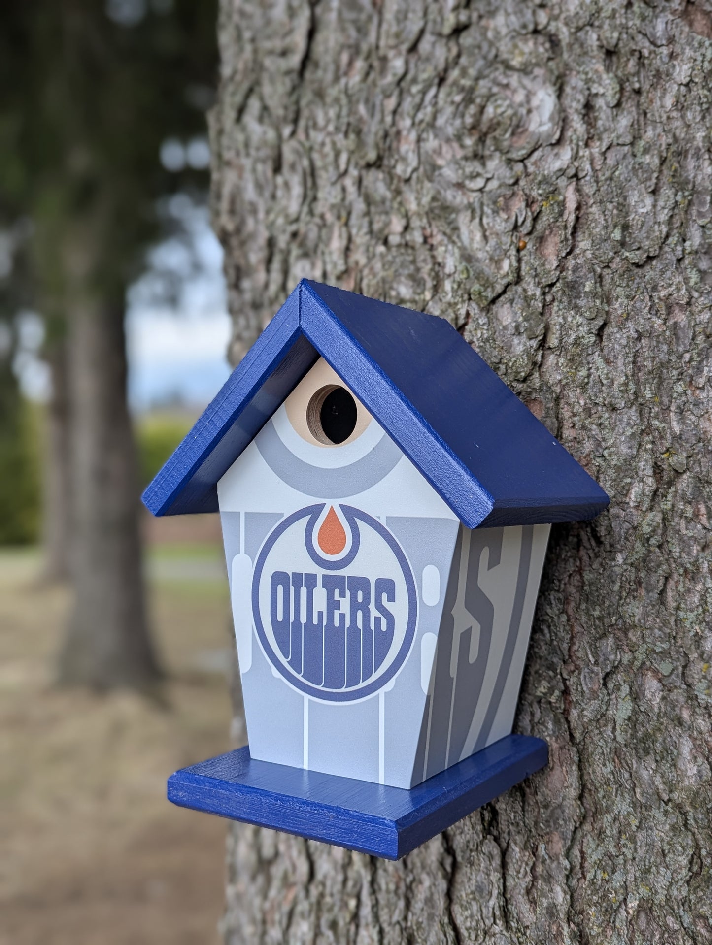 Edmonton Oilers Birdhouse
