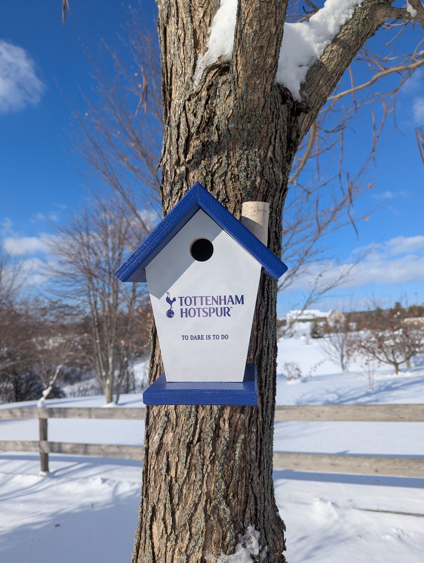 Tottenham Hotspurs personalized birdhouse