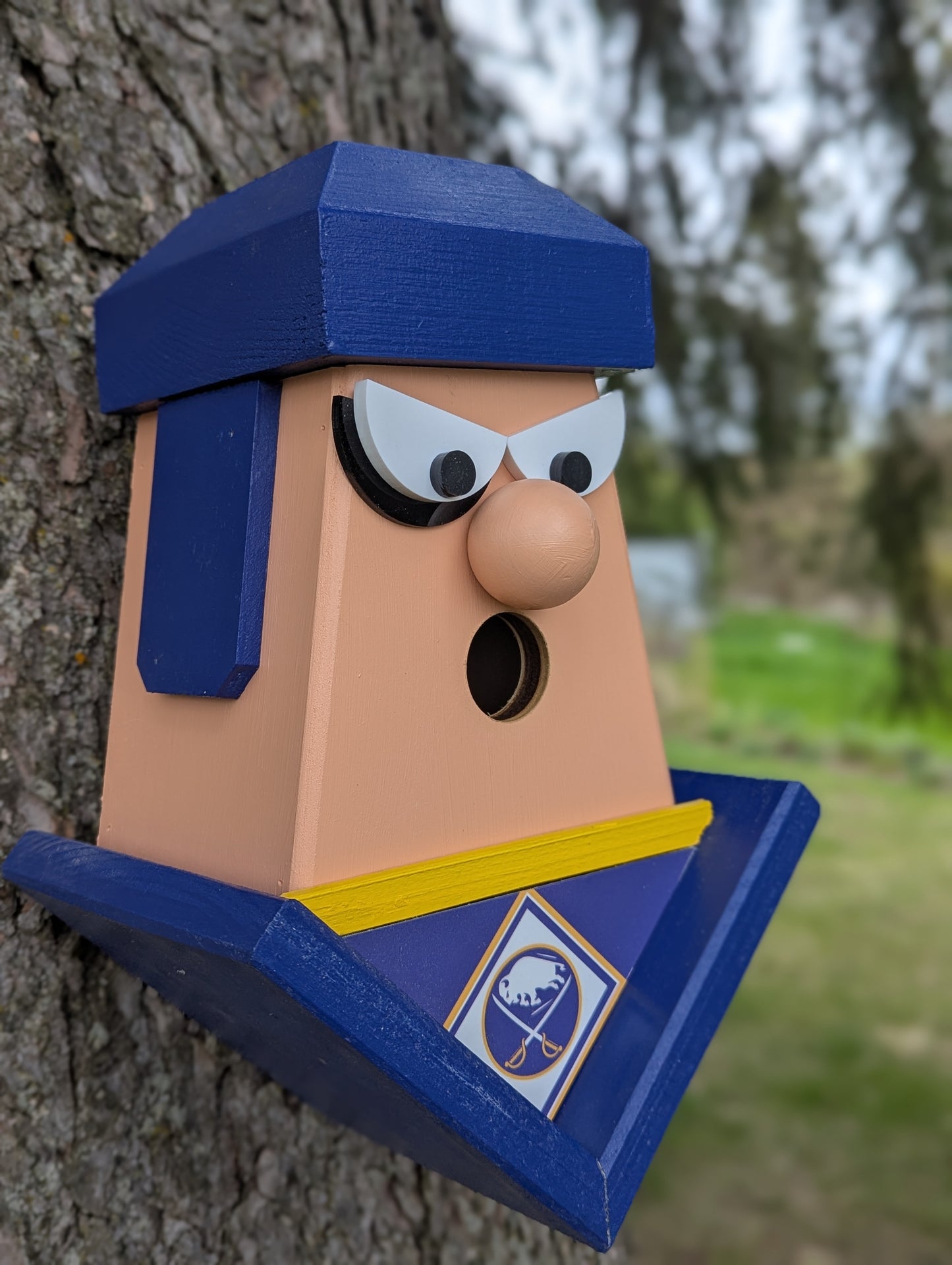 Buffalo Sabers Birdhouse