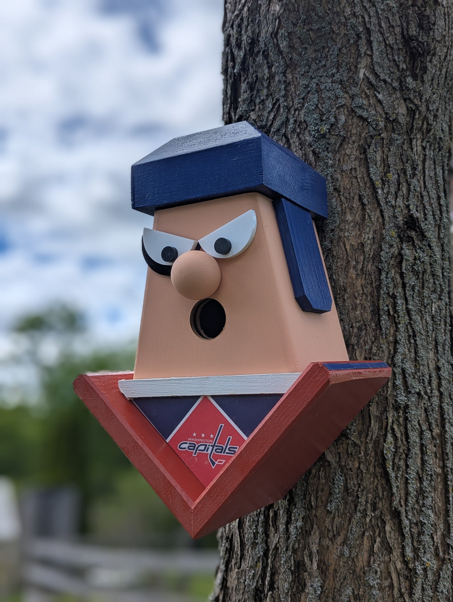 Washington Capitals birdhouse