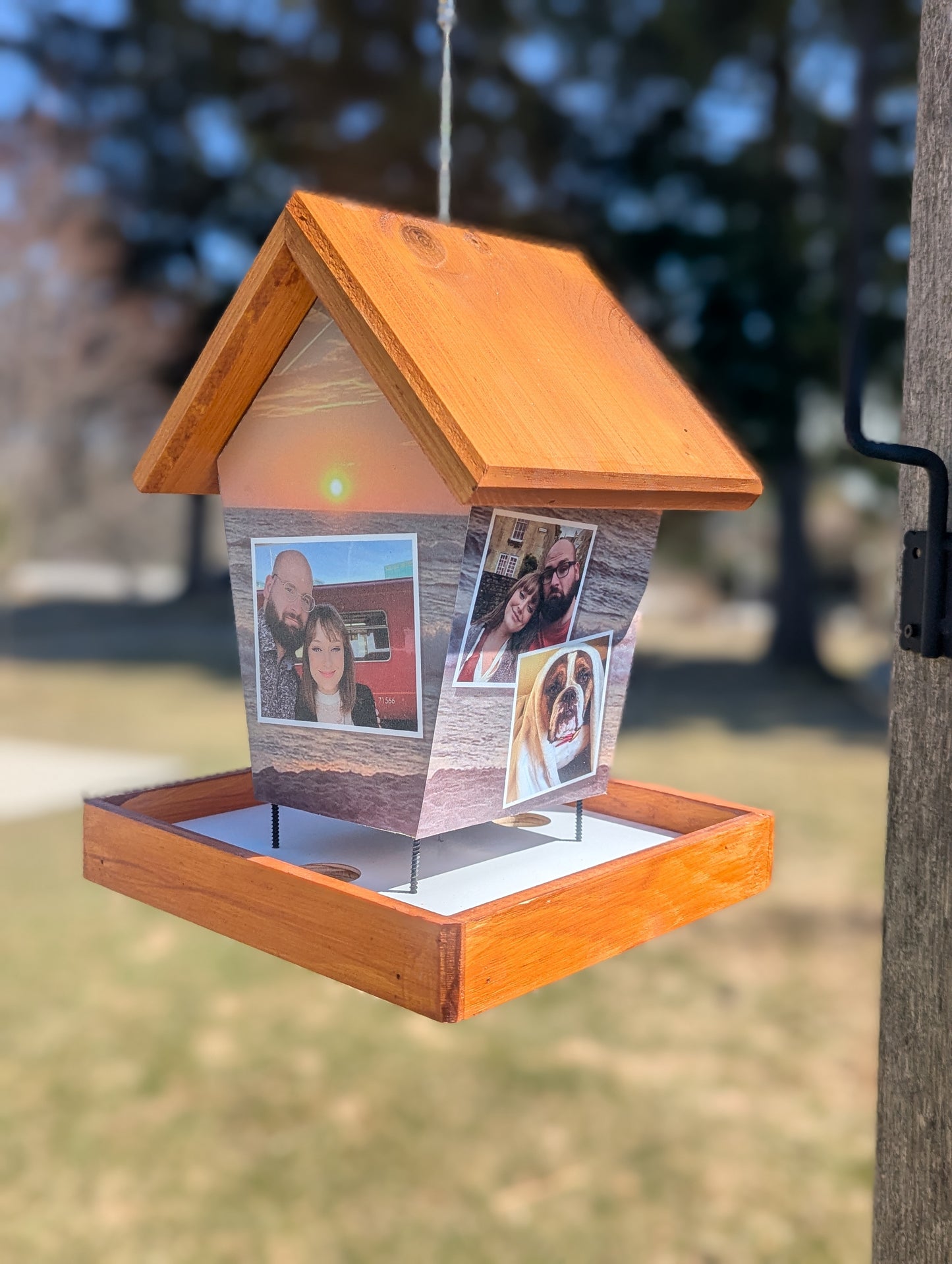 Your Personalized Bird Feeder