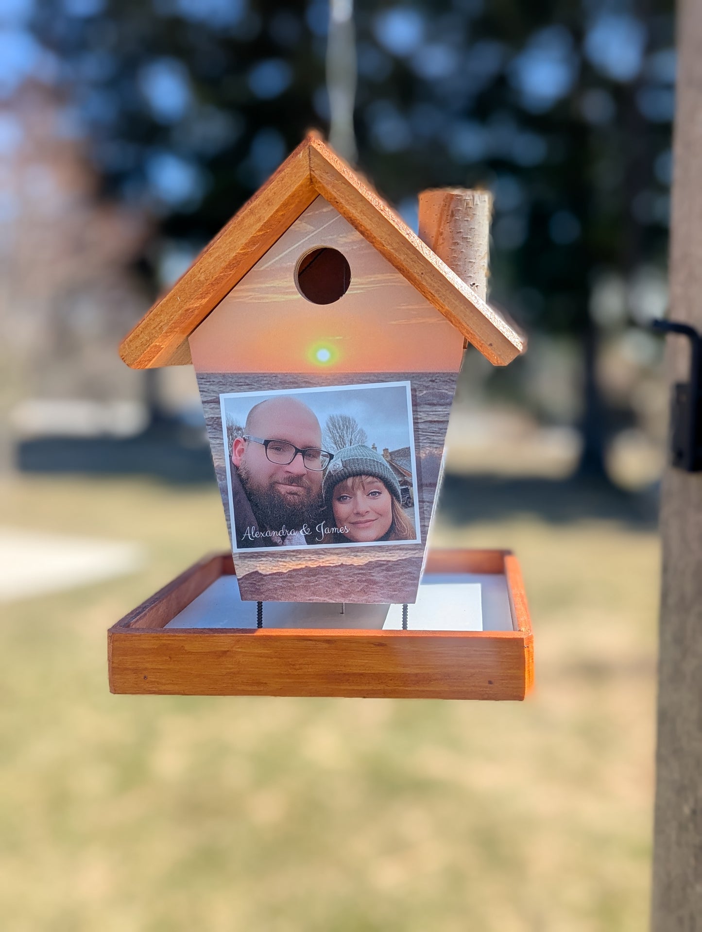 Your Personalized Bird Feeder