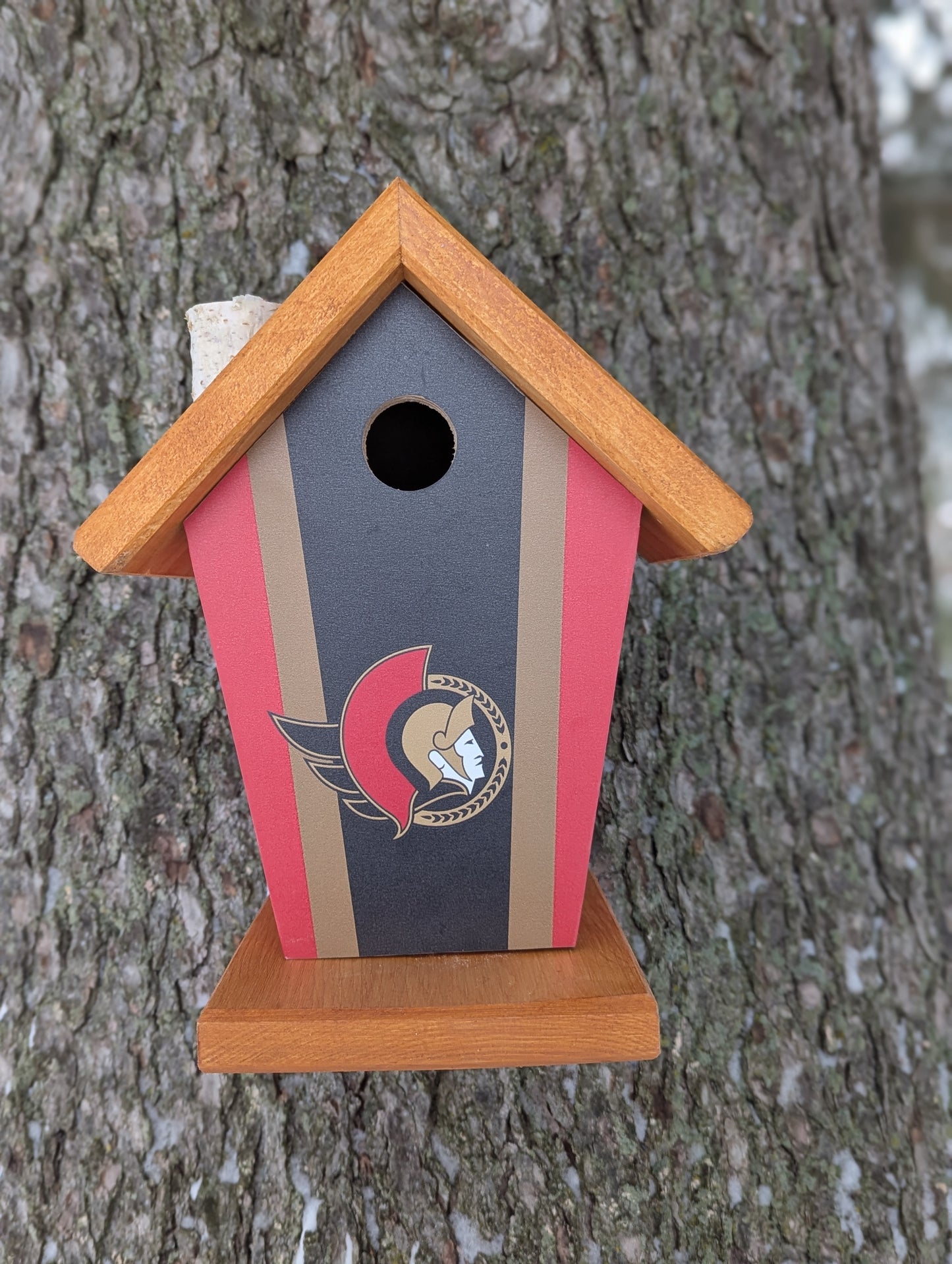 Ottawa Senators Birdhouse