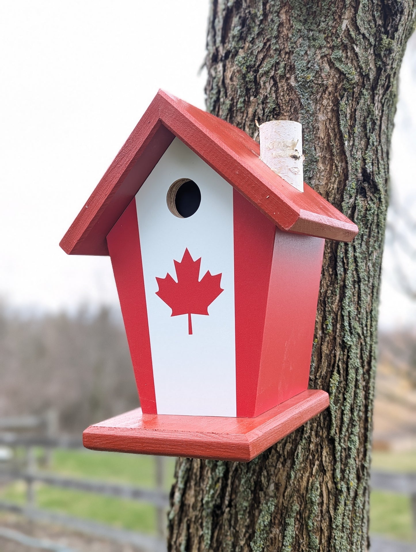Canada Flag Birdhouse