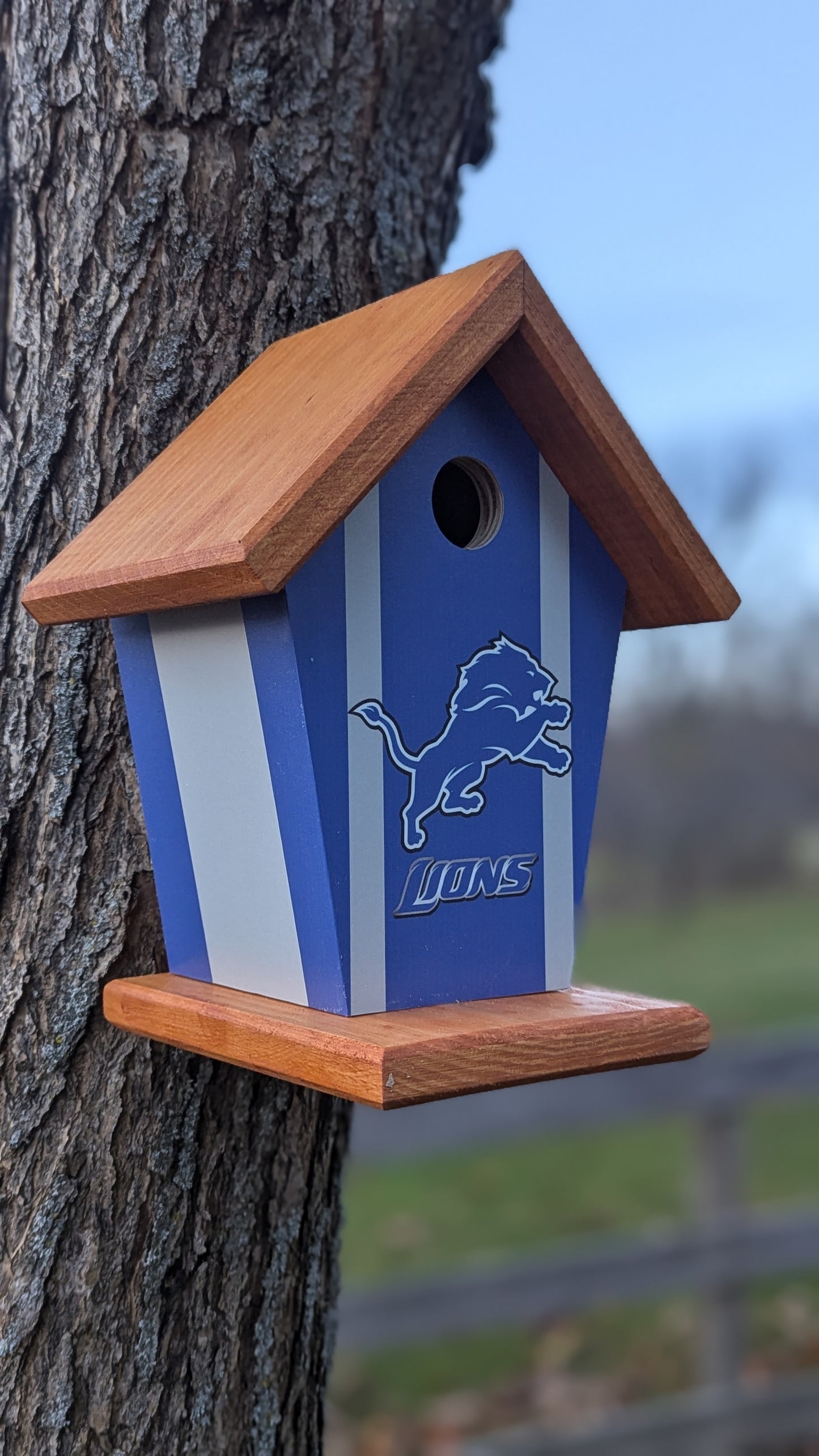 Detroit Lions Bird Feeder Sports