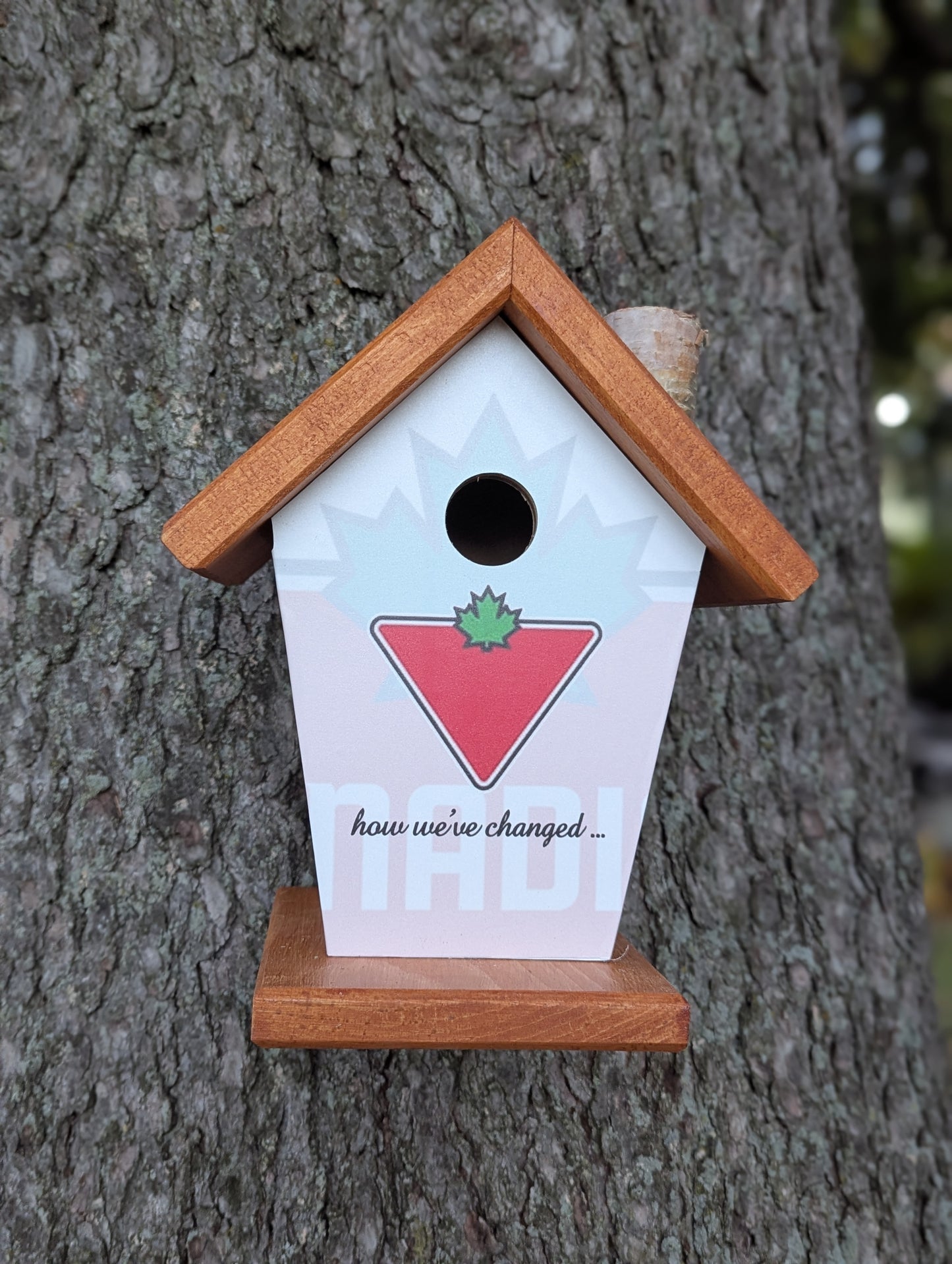 Canadian Tire over the years birdhouse