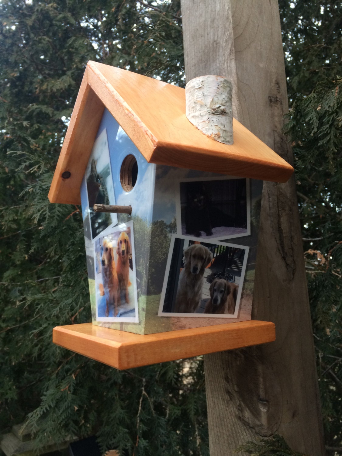 Custom (6 Images) Birdhouse/Feeder