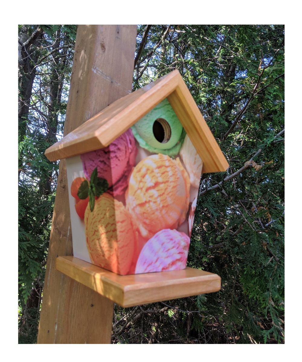 Ice Cream Birdhouse
