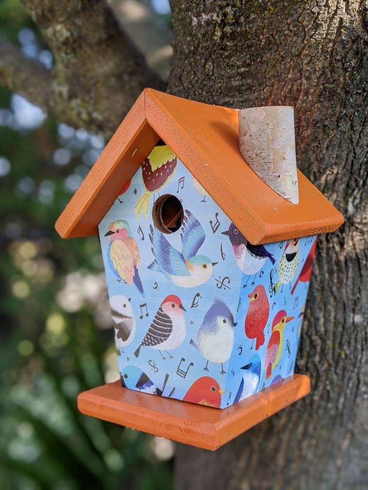 Songbirds (Blue Roof) Birdhouse