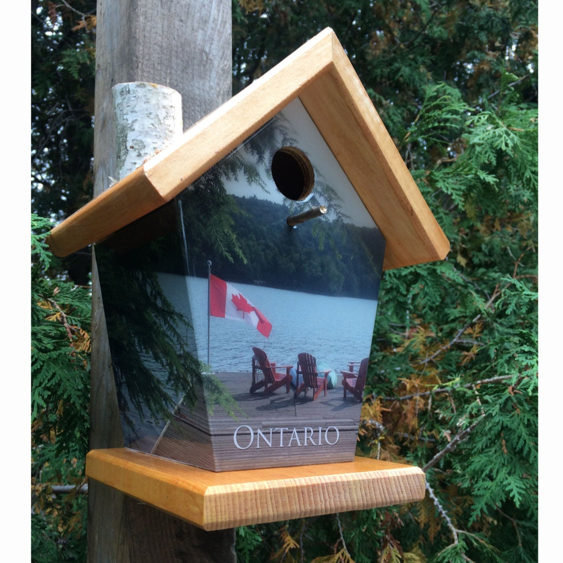 Ontario Birdhouse