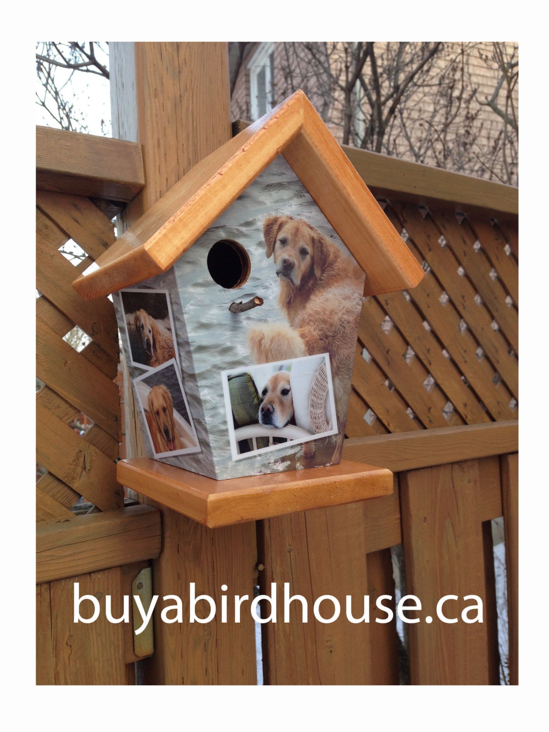 Custom (Stained Roof & Base) Birdhouse/Feeder