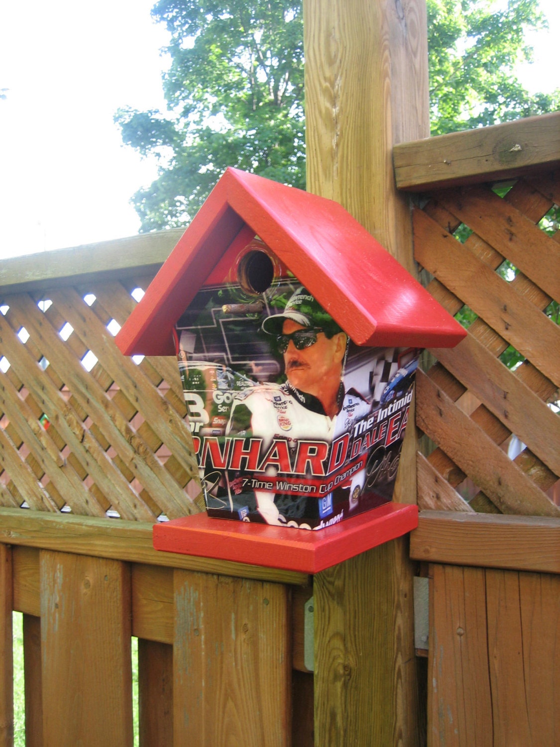 Dale Earnhardt Sr. Birdhouse Sports
