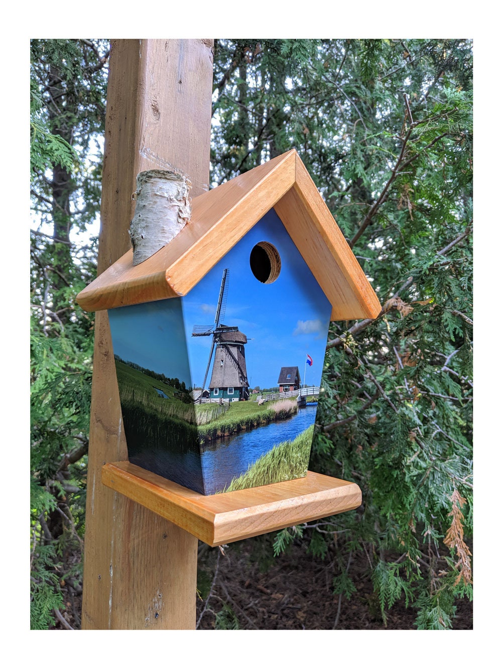 Windmills Of Holland (Waterfront) Birdhouse