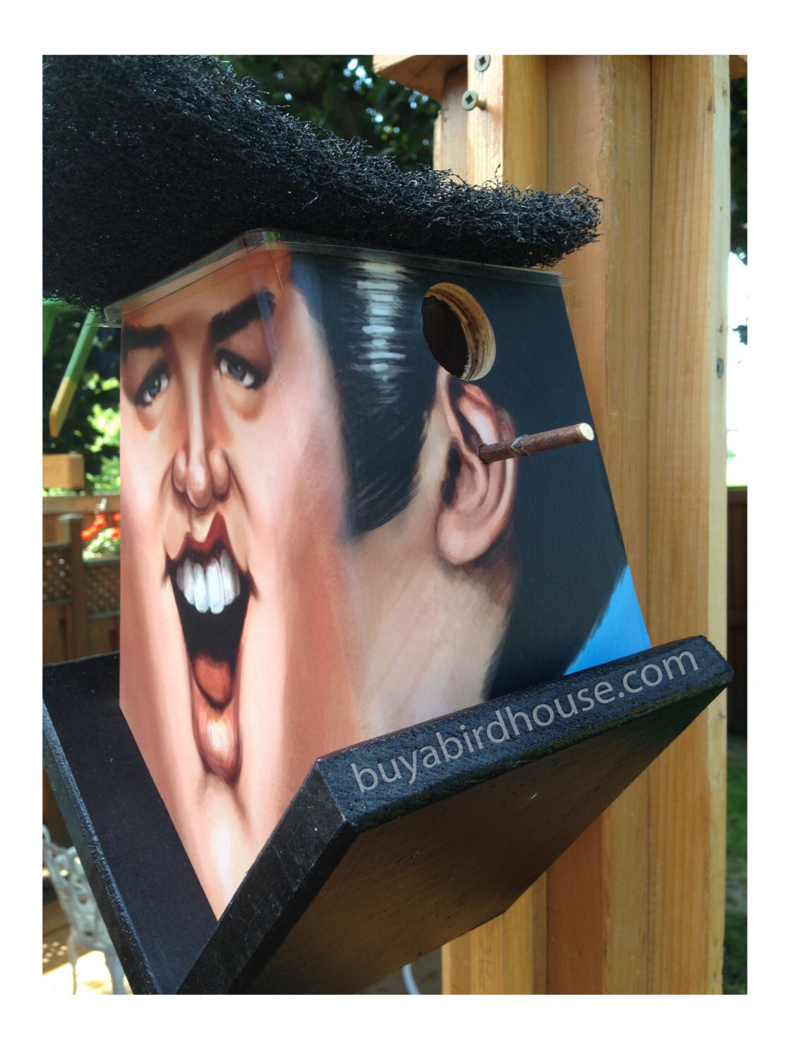 Elvis Presley (Hole in Ear) Birdhouse Music